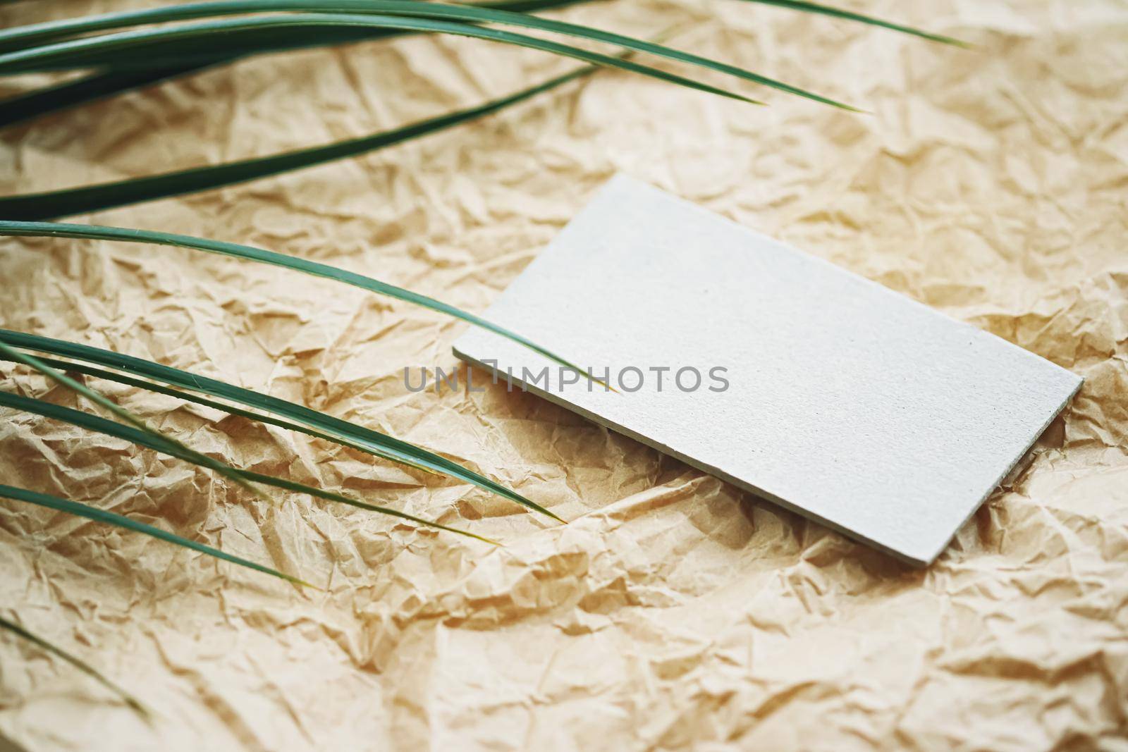 White business card flatlay on brown parchment paper background and green exotic leaf, luxury branding flat lay and brand identity design for mockup by Anneleven
