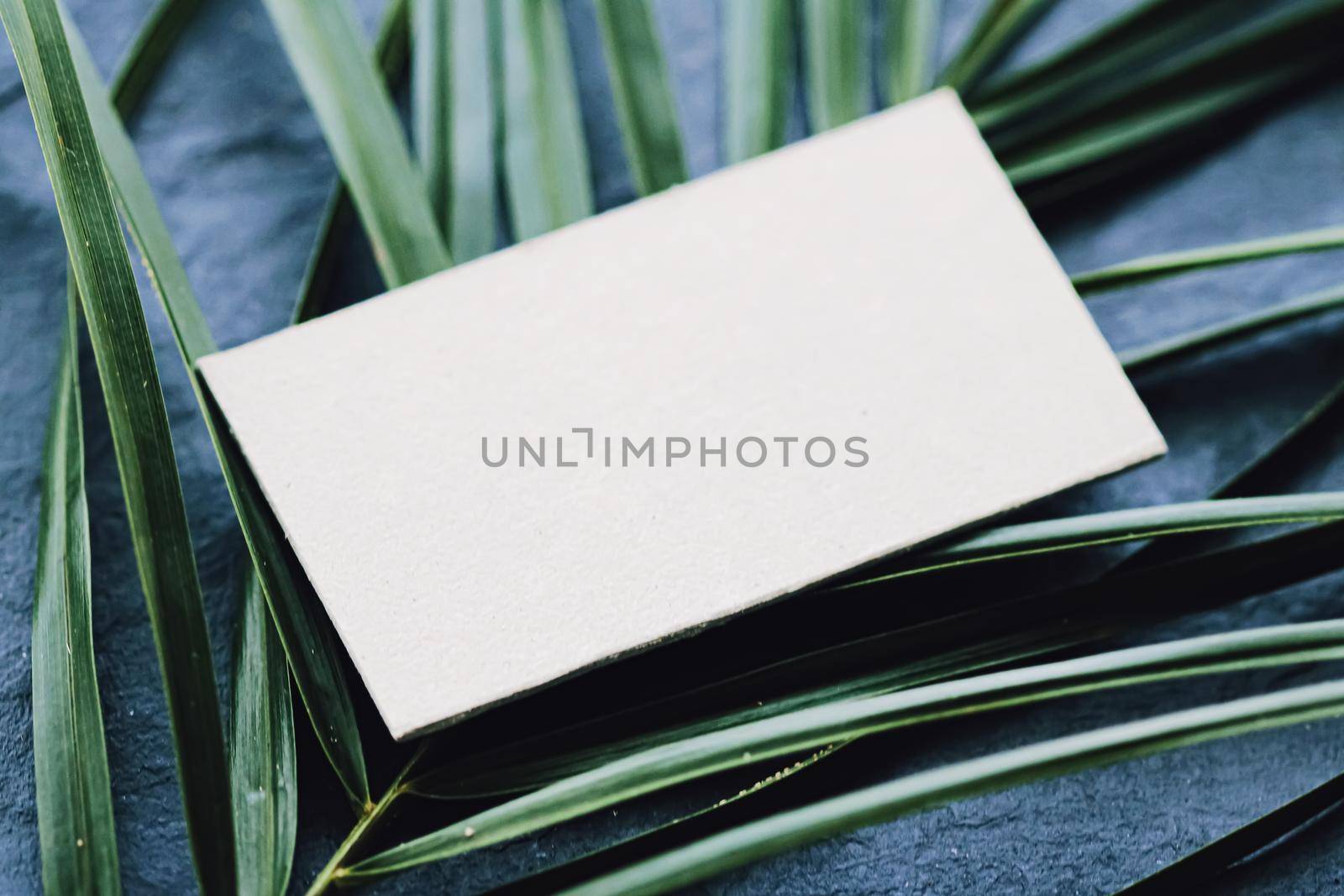 White business card flatlay on dark stone background and green exotic leaf, luxury branding flat lay and brand identity design for mockup by Anneleven