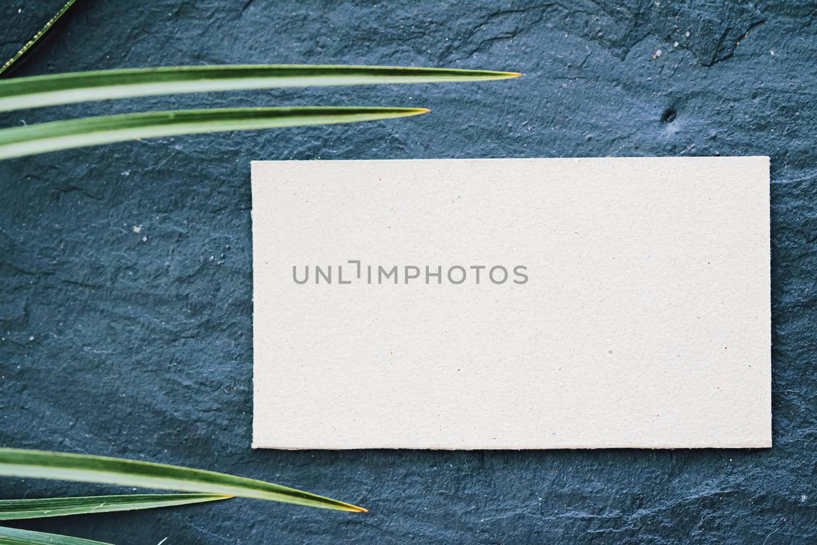 White business card flatlay on dark stone background and green exotic leaf, luxury branding flat lay and brand identity design for mockup by Anneleven