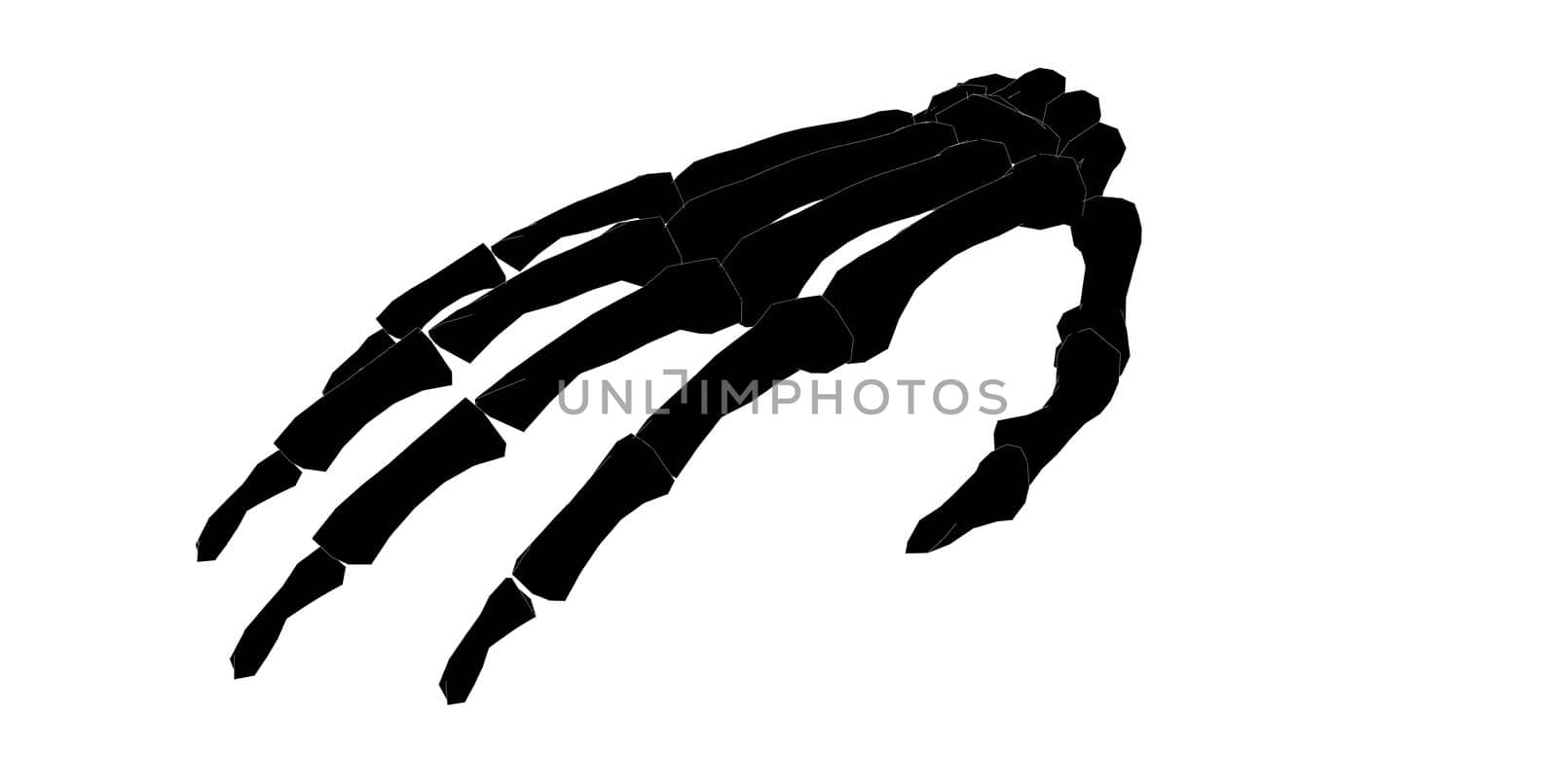 Closeup Back view of forearm in black and white isolated background