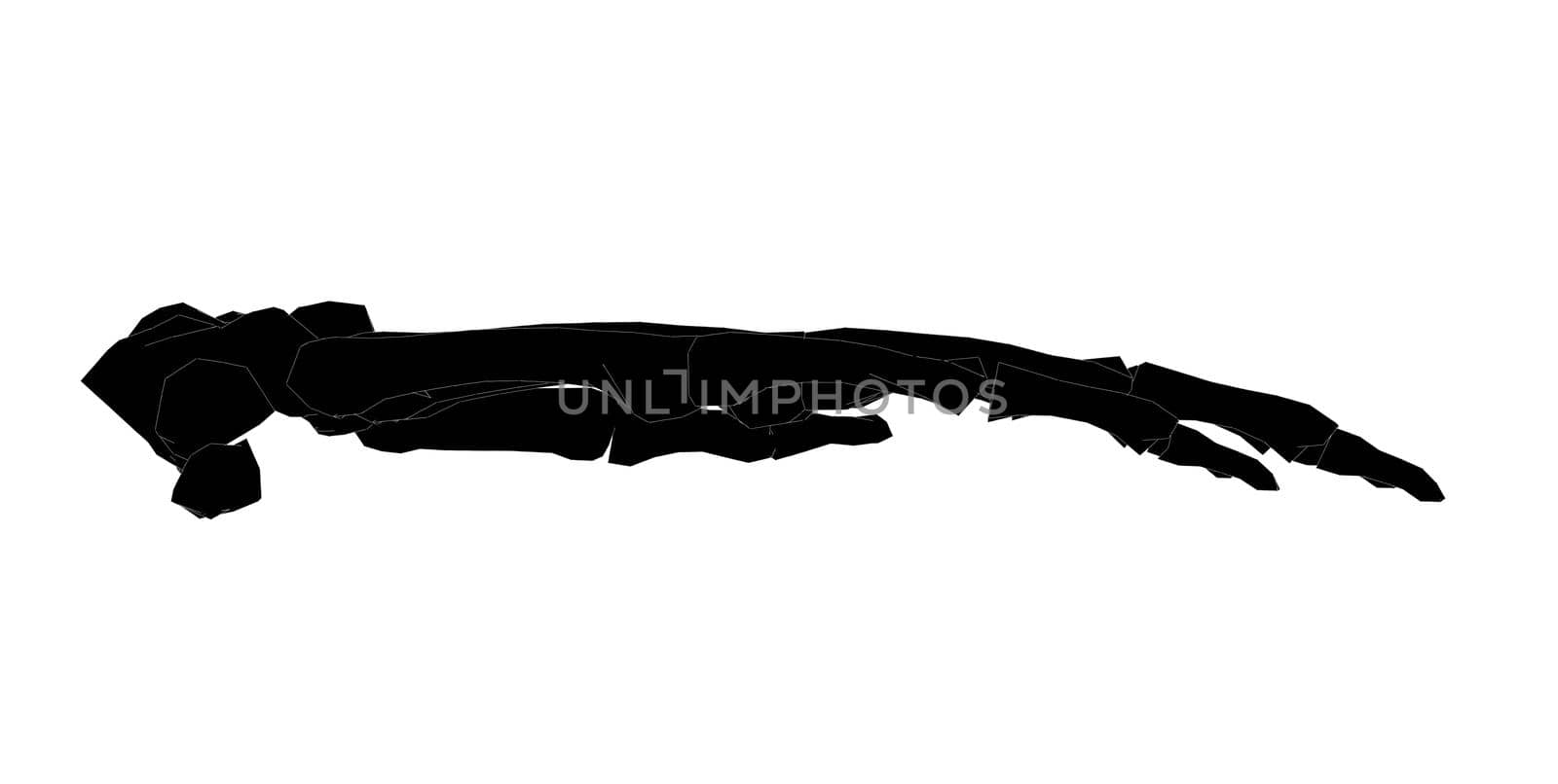 Side view of forearm in black and white isolated background by tabishere