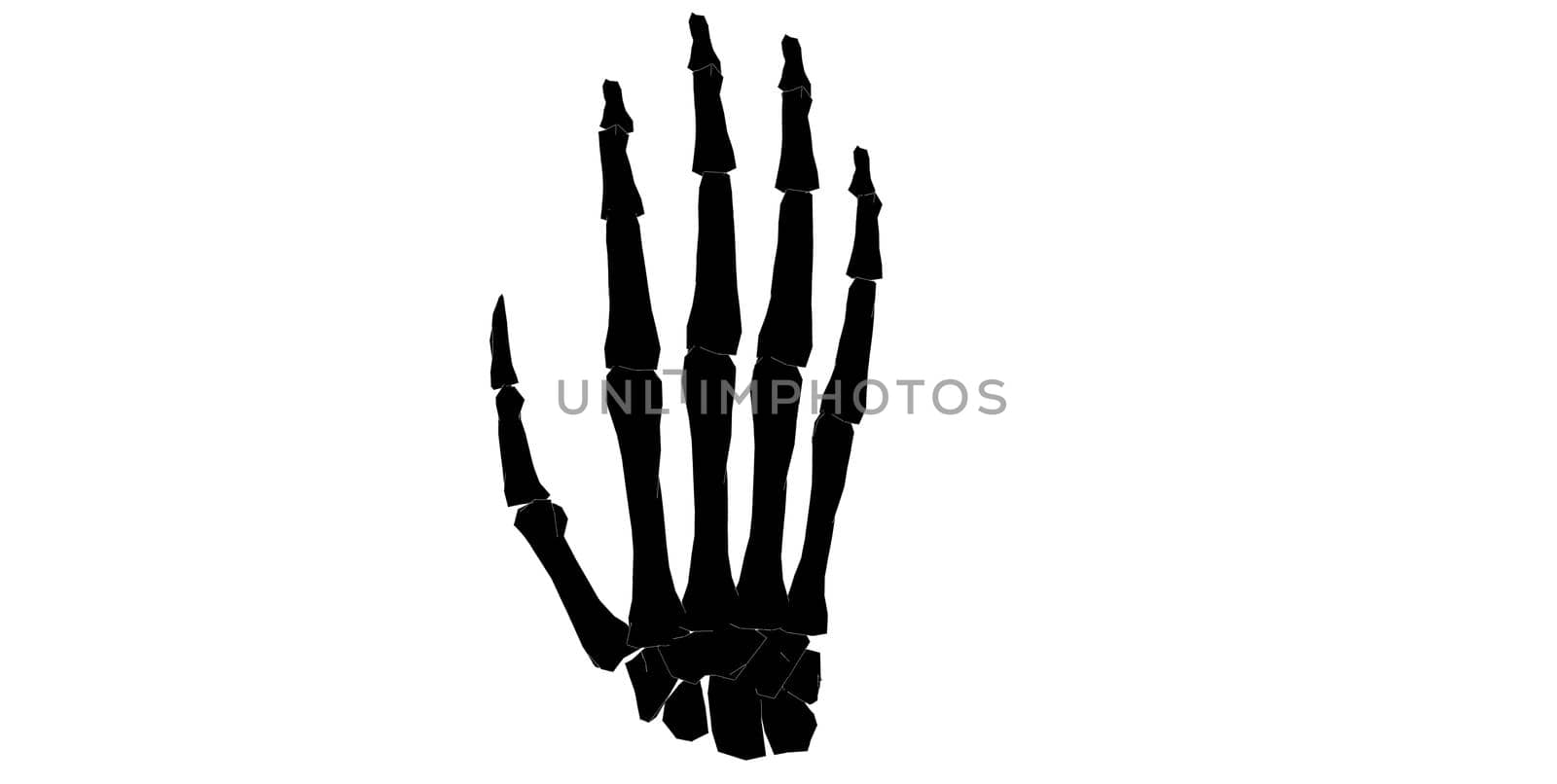 Back view of forearm in black and white isolated background