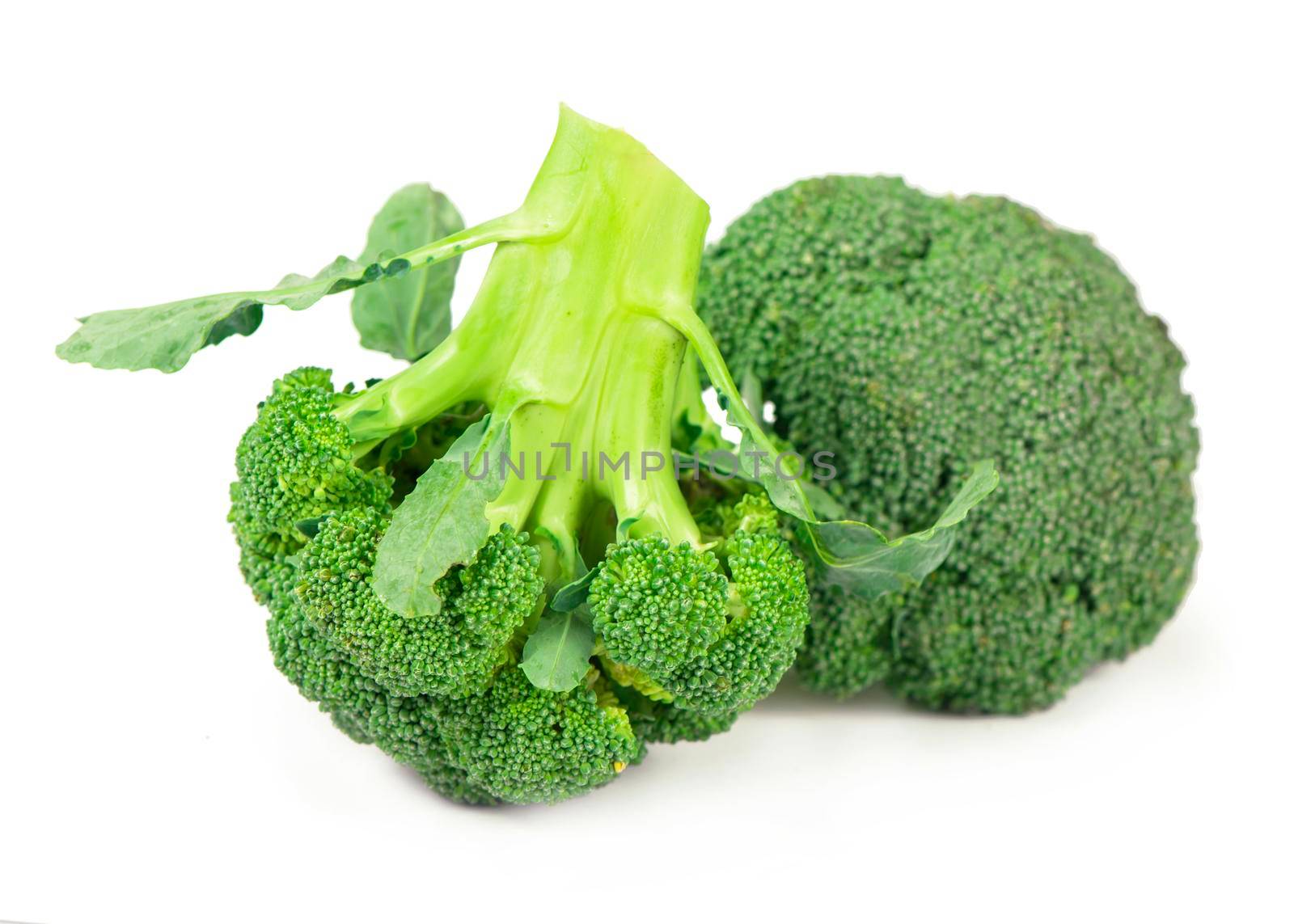 fresh raw broccoli isolated on the white background