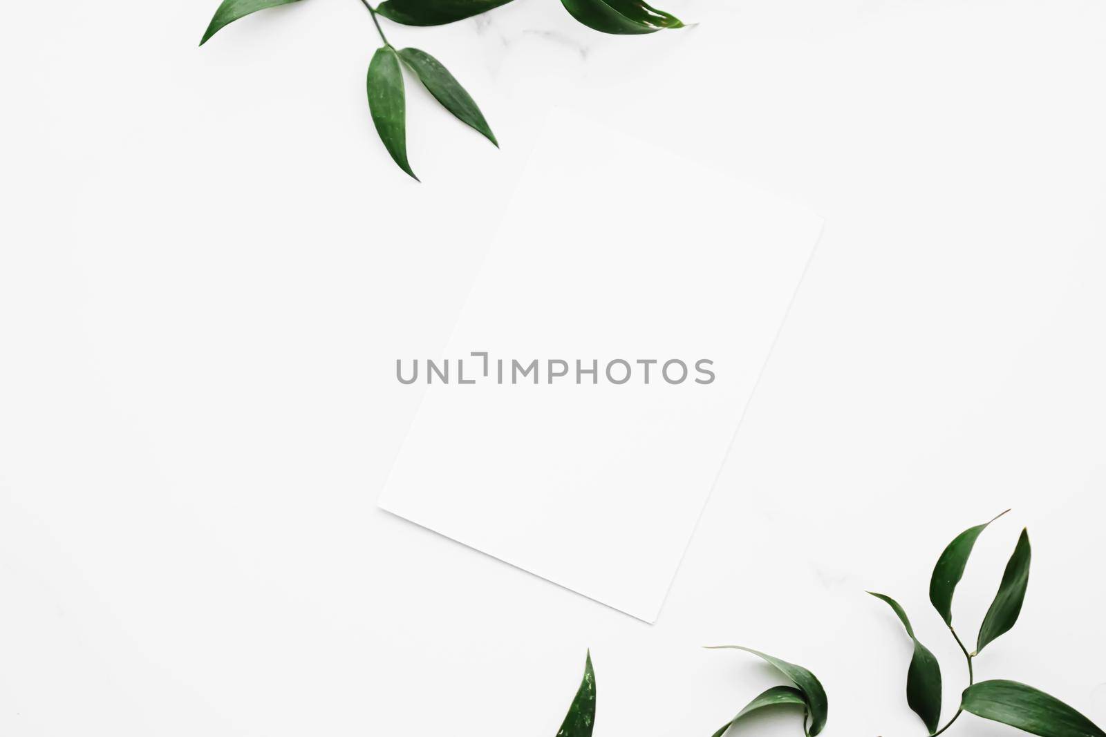 Blank white card, green leaves on white background as botanical frame flatlay, wedding invitation and holiday branding, flat lay design concept