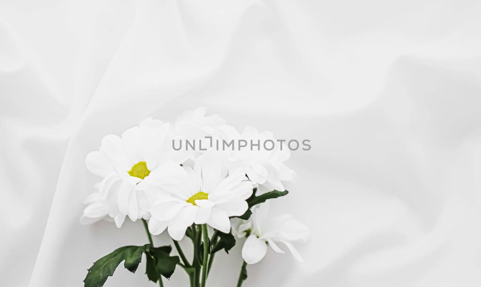 White daisy flowers on silk fabric as bridal flatlay background, wedding invitation and holiday branding, flat lay design concept