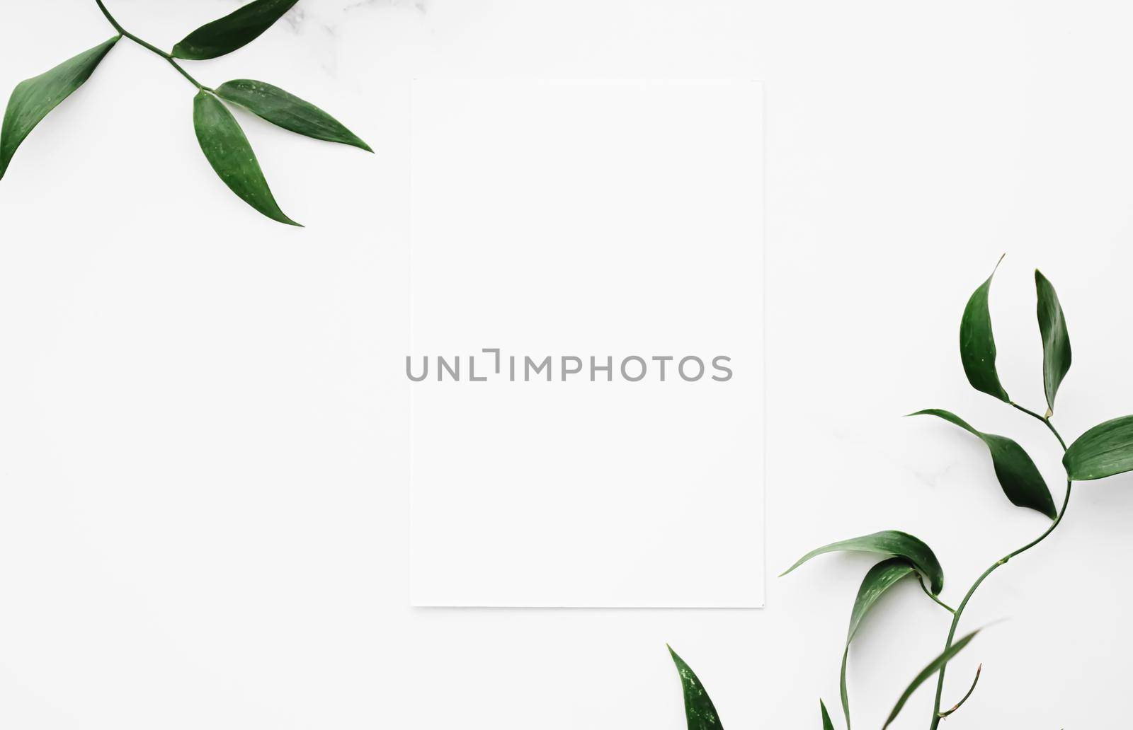 Blank white card, green leaves on white background as botanical frame flatlay, wedding invitation and holiday branding, flat lay design by Anneleven