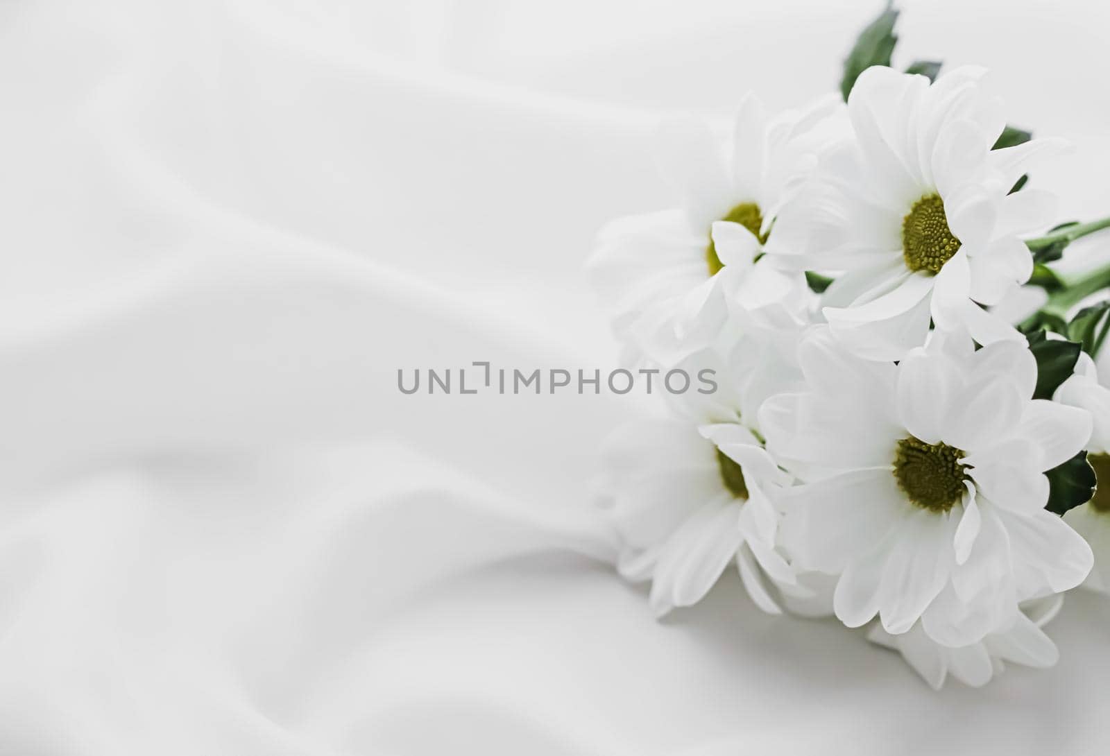 White daisy flowers on silk fabric as bridal flatlay background, wedding invitation and holiday branding, flat lay design by Anneleven