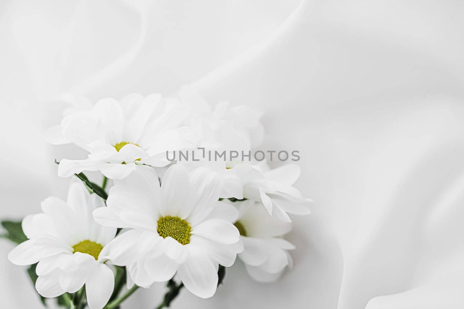 White daisy flowers on silk fabric as bridal flatlay background, wedding invitation and holiday branding, flat lay design concept