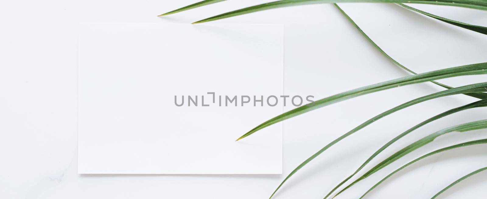 White card flatlay and green exotic leaf, luxury branding flat lay and brand identity design for mockup by Anneleven