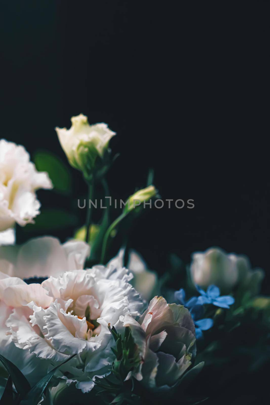 Flower bouquet on black background, beautiful floral arrangement, creative flowers and floristic design ideas