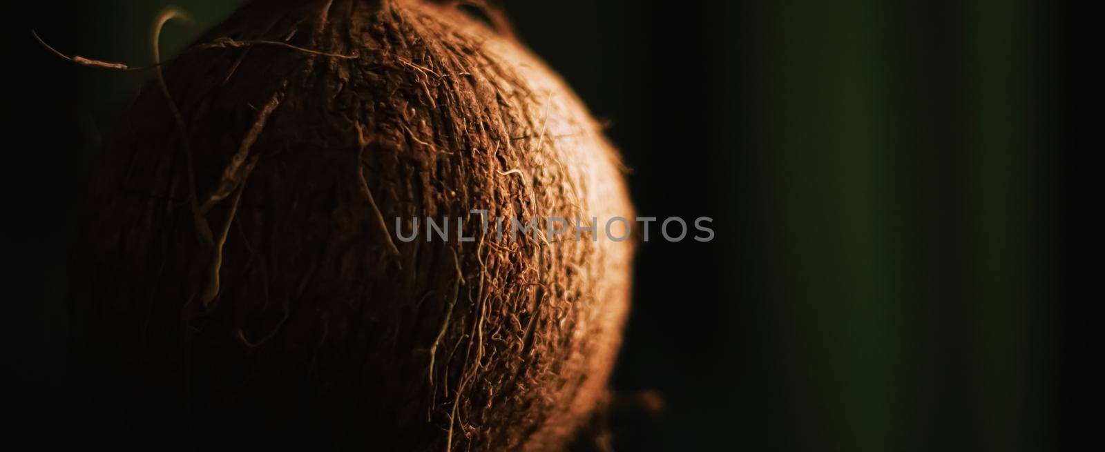 Coconut on dark background, food and nature closeup
