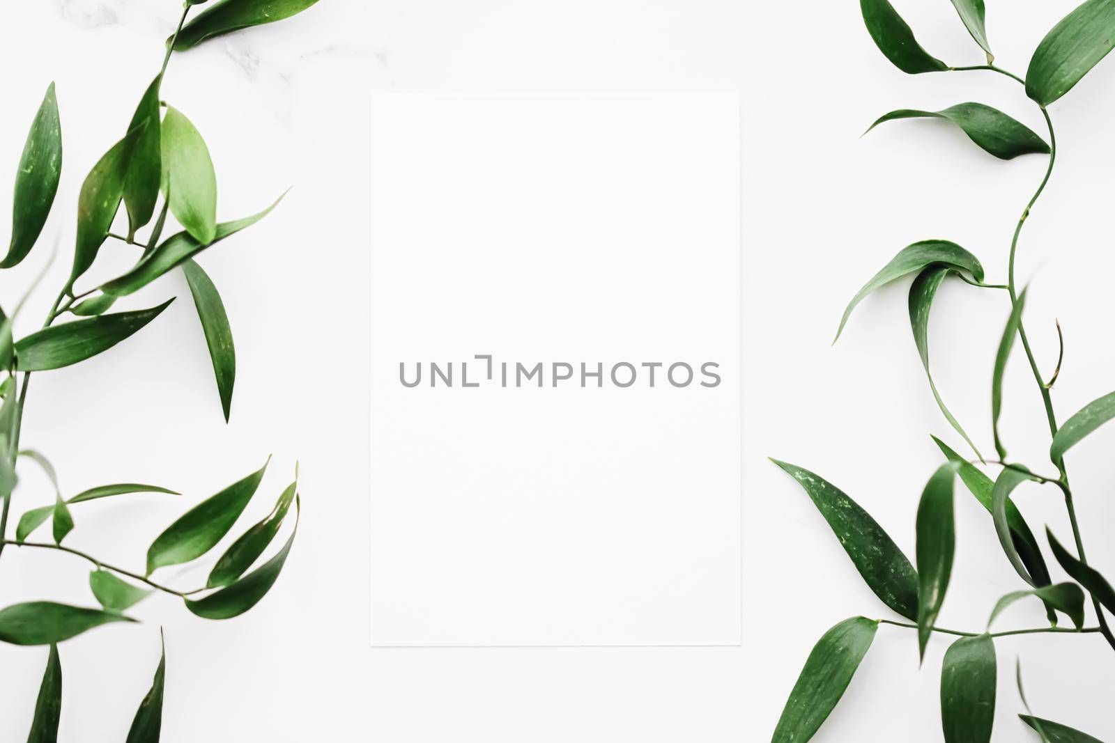 Blank white card, green leaves on white background as botanical frame flatlay, wedding invitation and holiday branding, flat lay design by Anneleven