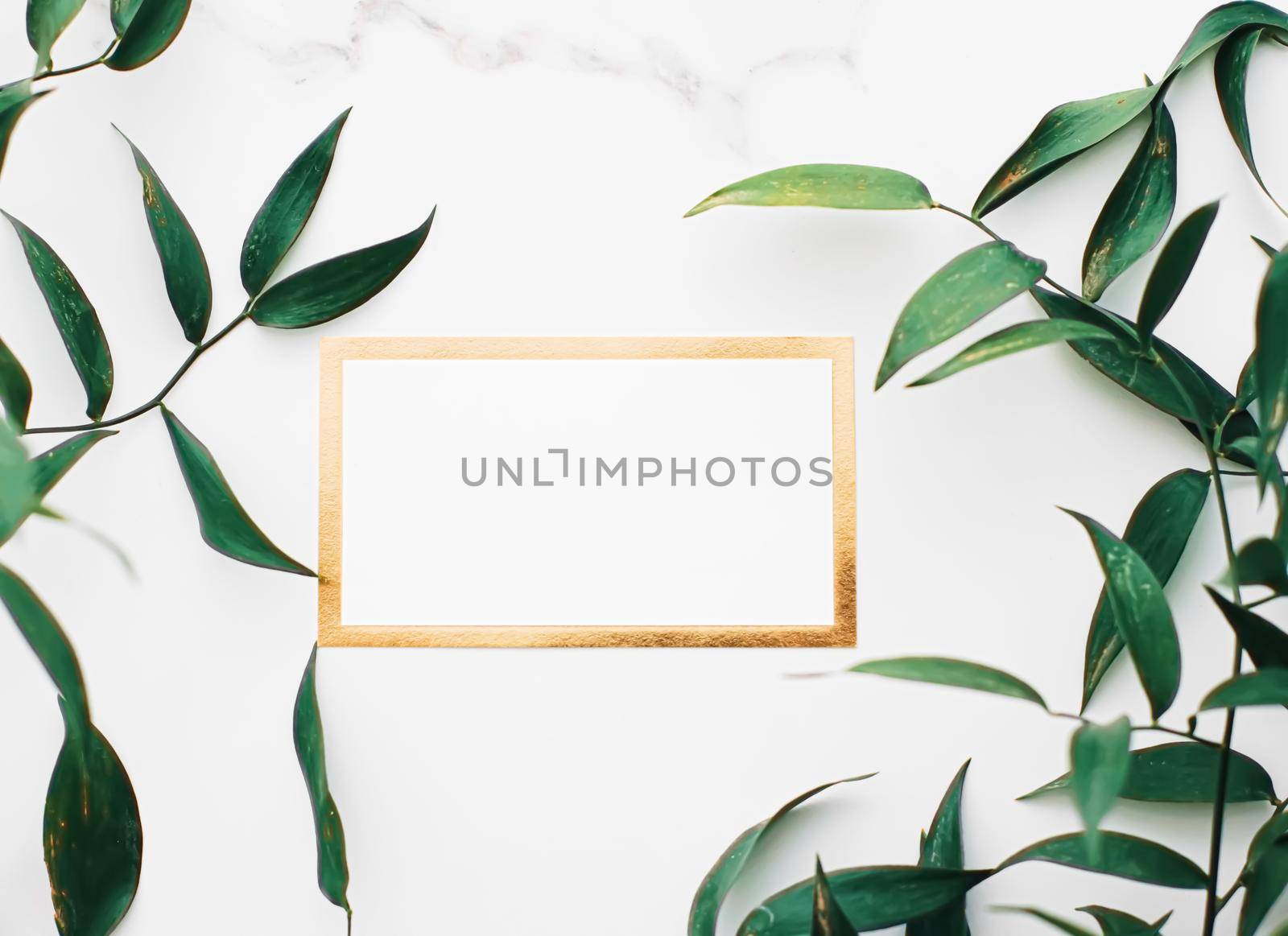 Blank white and gold card, green leaves on white background as botanical frame flatlay, wedding invitation and branding, flat lay design by Anneleven