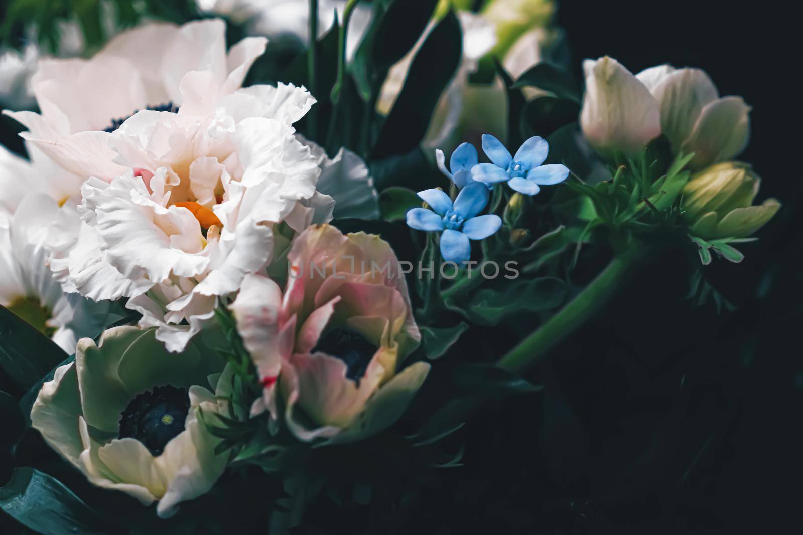 Flower bouquet on black background, beautiful floral arrangement, creative flowers and floristic design idea by Anneleven