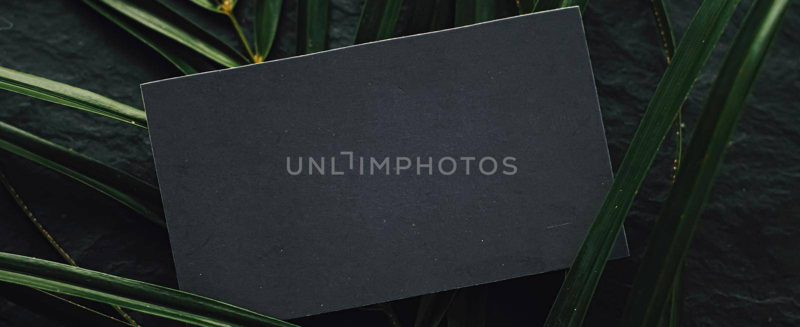 Black business card flatlay on dark stone background and green exotic leaf, luxury branding flat lay and brand identity design for mockups