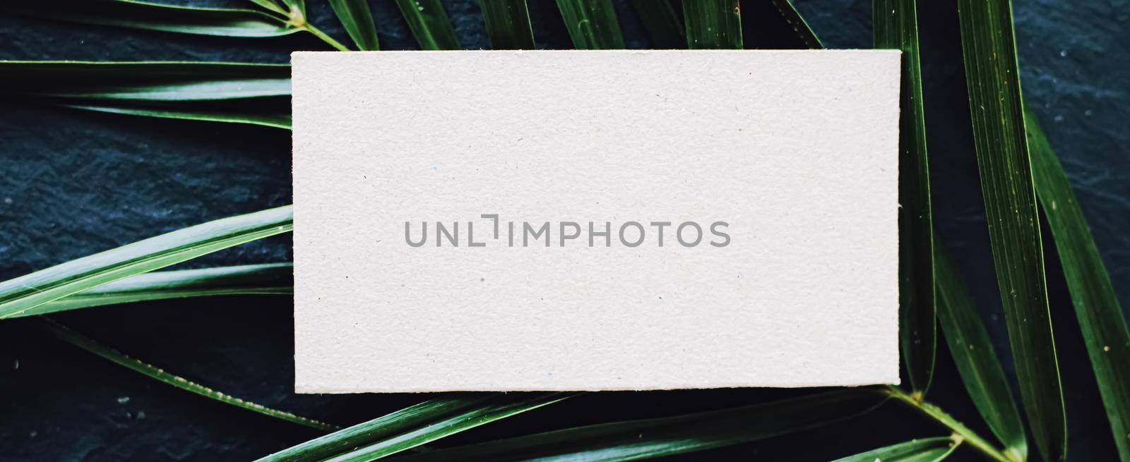 White business card flatlay on dark stone background and green exotic leaf, luxury branding flat lay and brand identity design for mockups