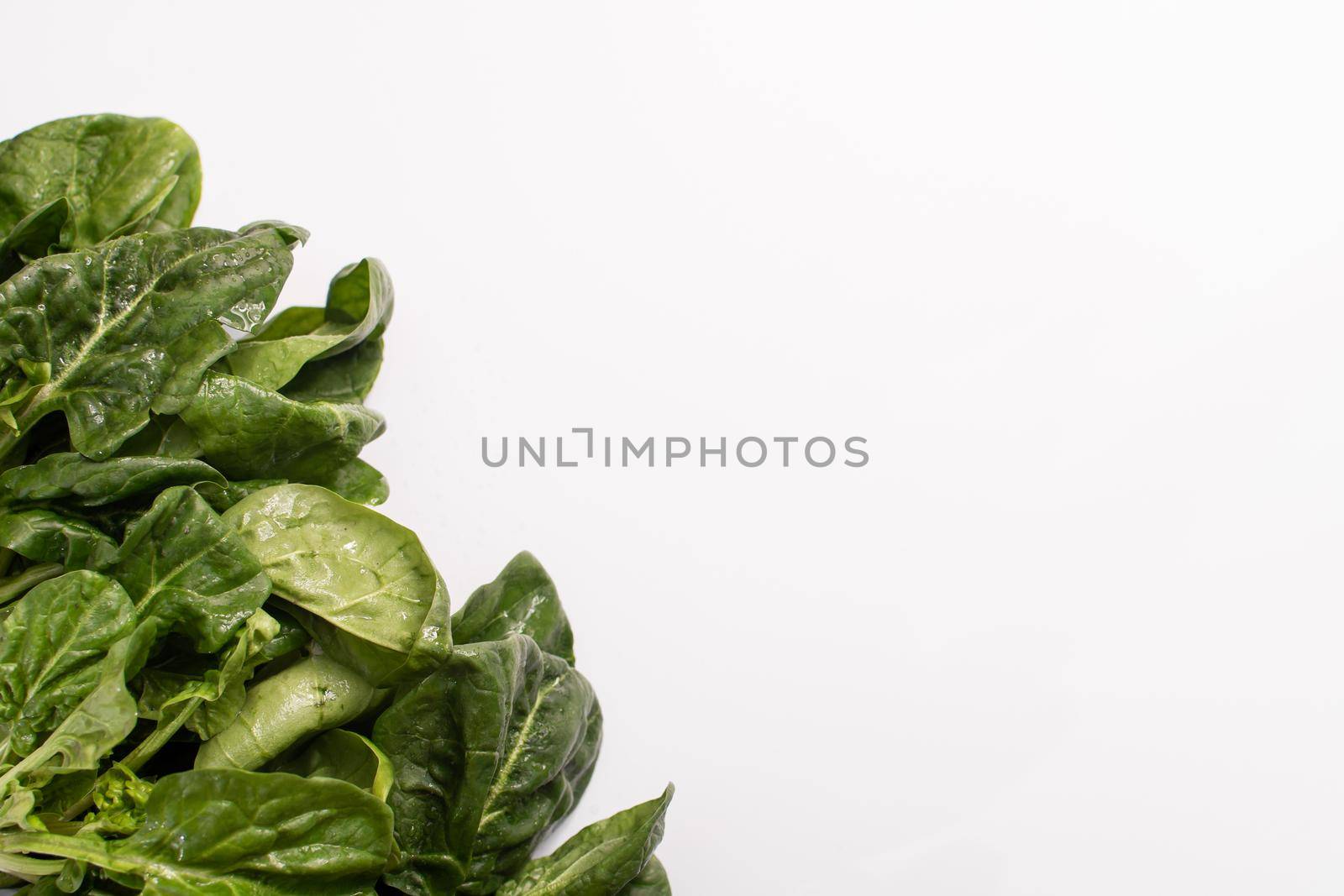 Spinach close-up on a white background. Food for vegans and vegetarians. copy space