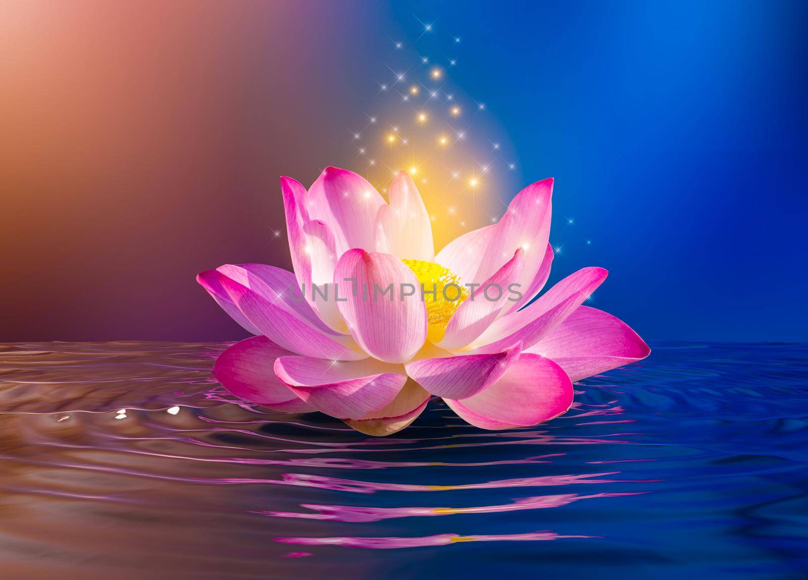 lotus Pink light purple floating light sparkle purple background by sarayut_thaneerat