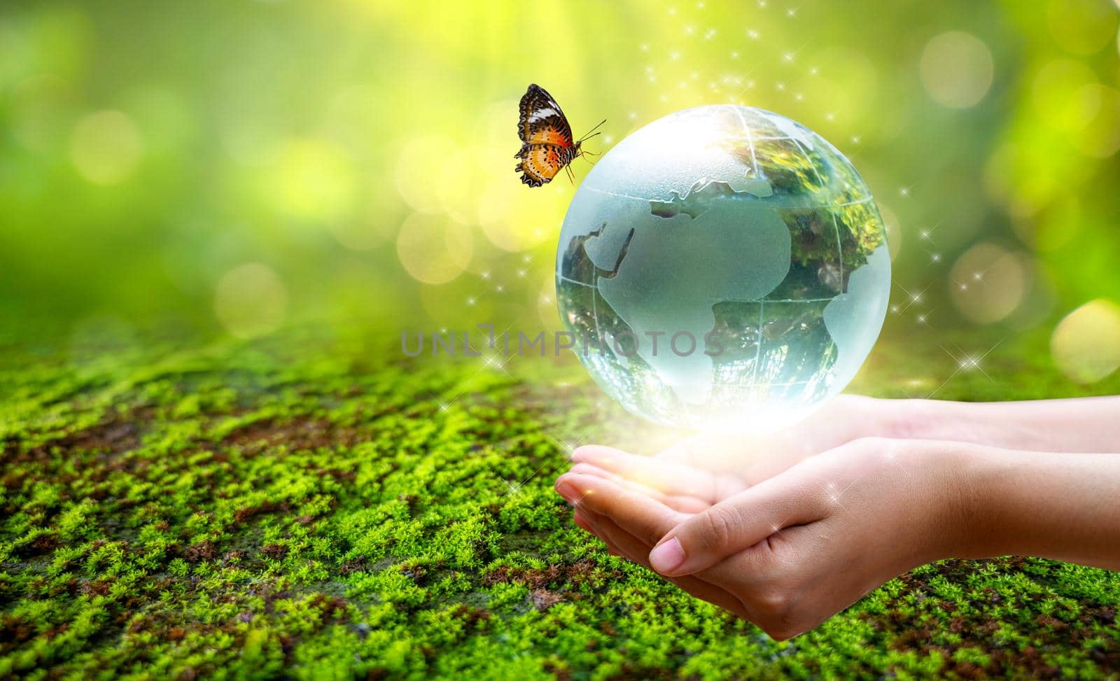 A man with a glass globe Concept day earth Save the world save environment The world is in the grass of the green bokeh background