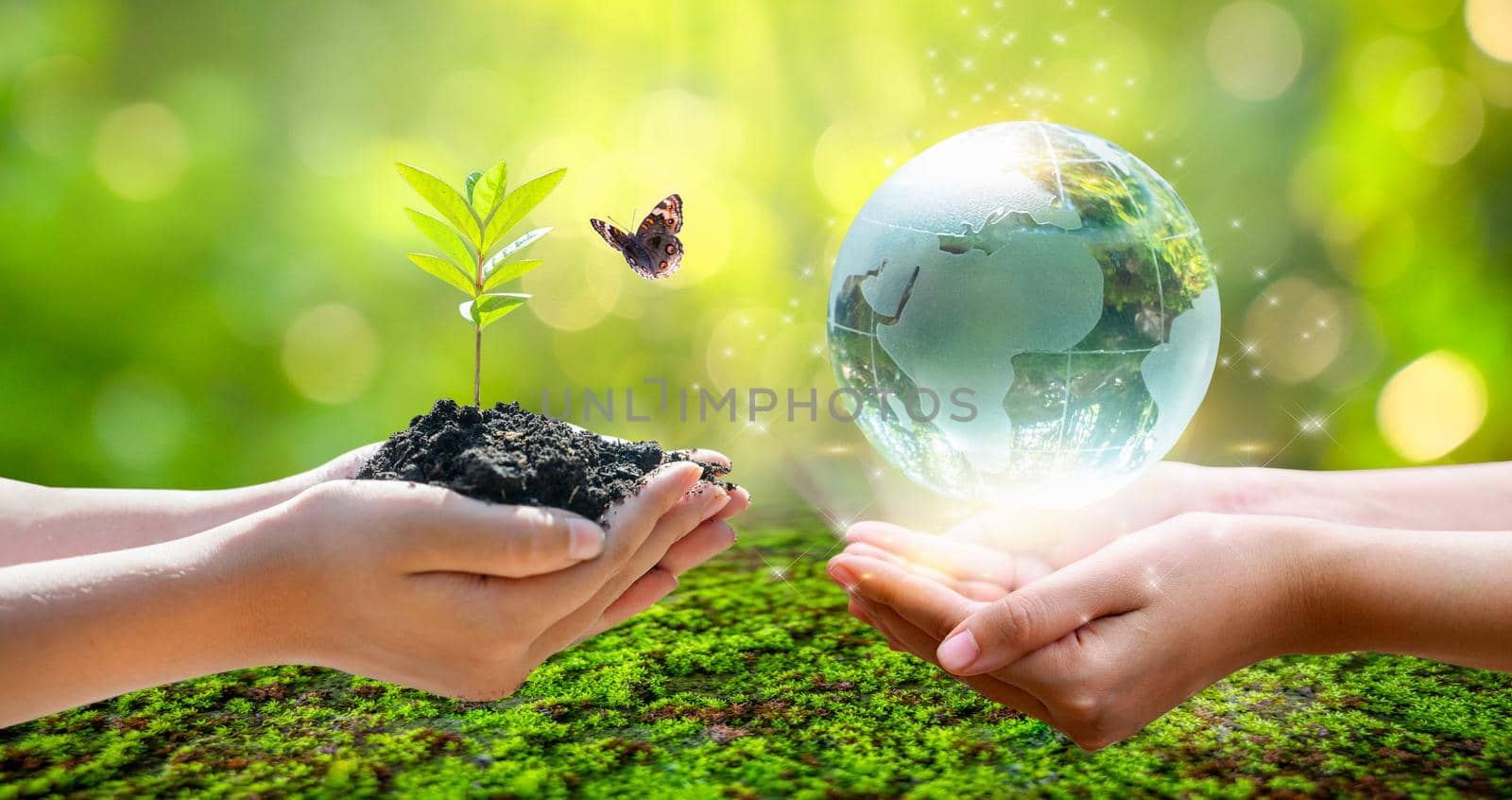 Concept Save the world save environment The world is in the grass of the green bokeh background by sarayut_thaneerat