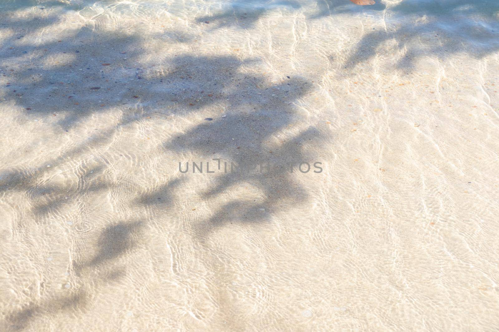 Shadow of tree leaves on the tropical beach in summer. by kaisorn