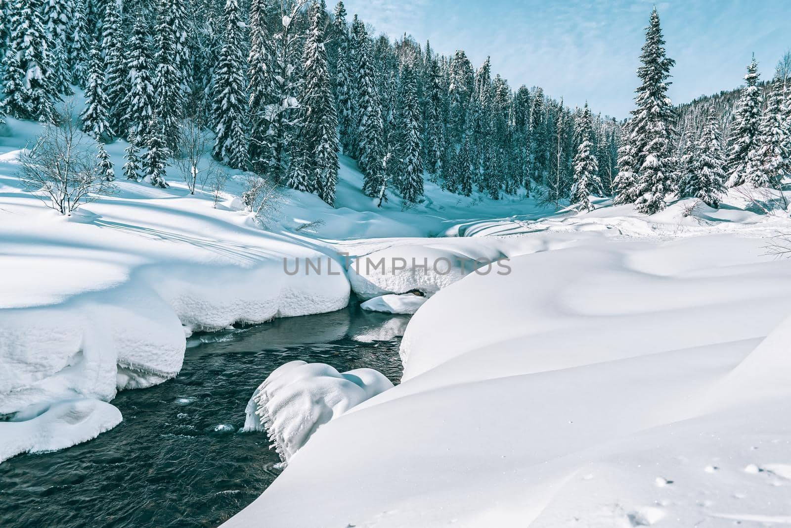 Winter landscape with a mountain stream going through the snow into the depths of a pine forest