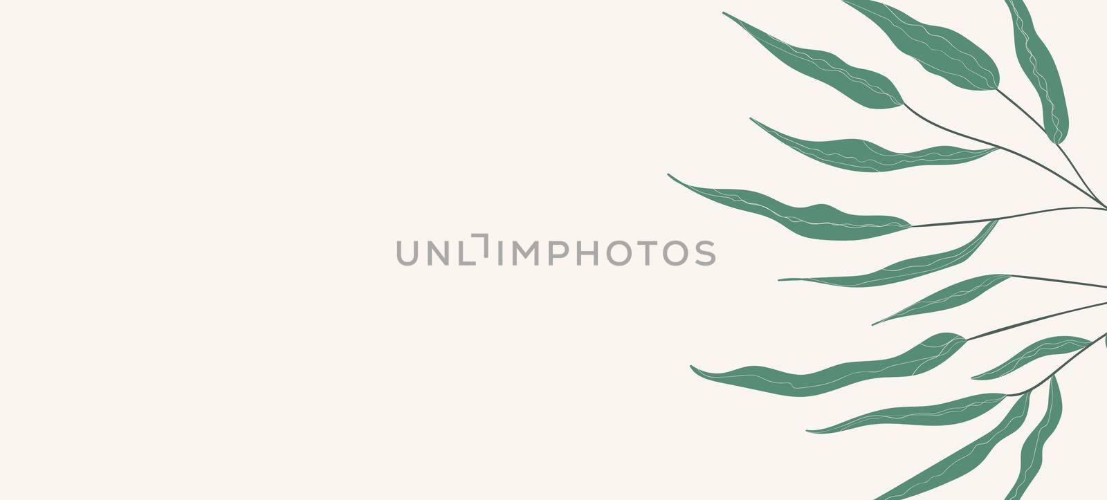 Floral web banner with drawn color exotic monstera leaves. Nature concept design. Modern floral compositions with summer branches. Vector illustration on the theme of ecology, natura, environment by allaku