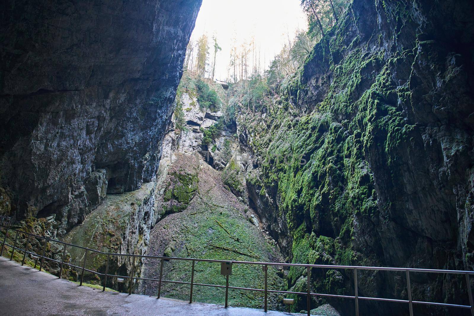 Inside of Macocha Abyss, Czech republic