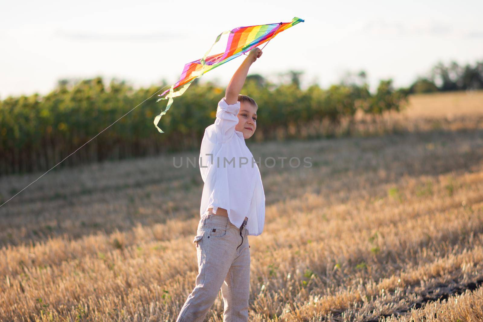 The boy holds the kite at arm's length up. Rural landscape. A field with dry grass.