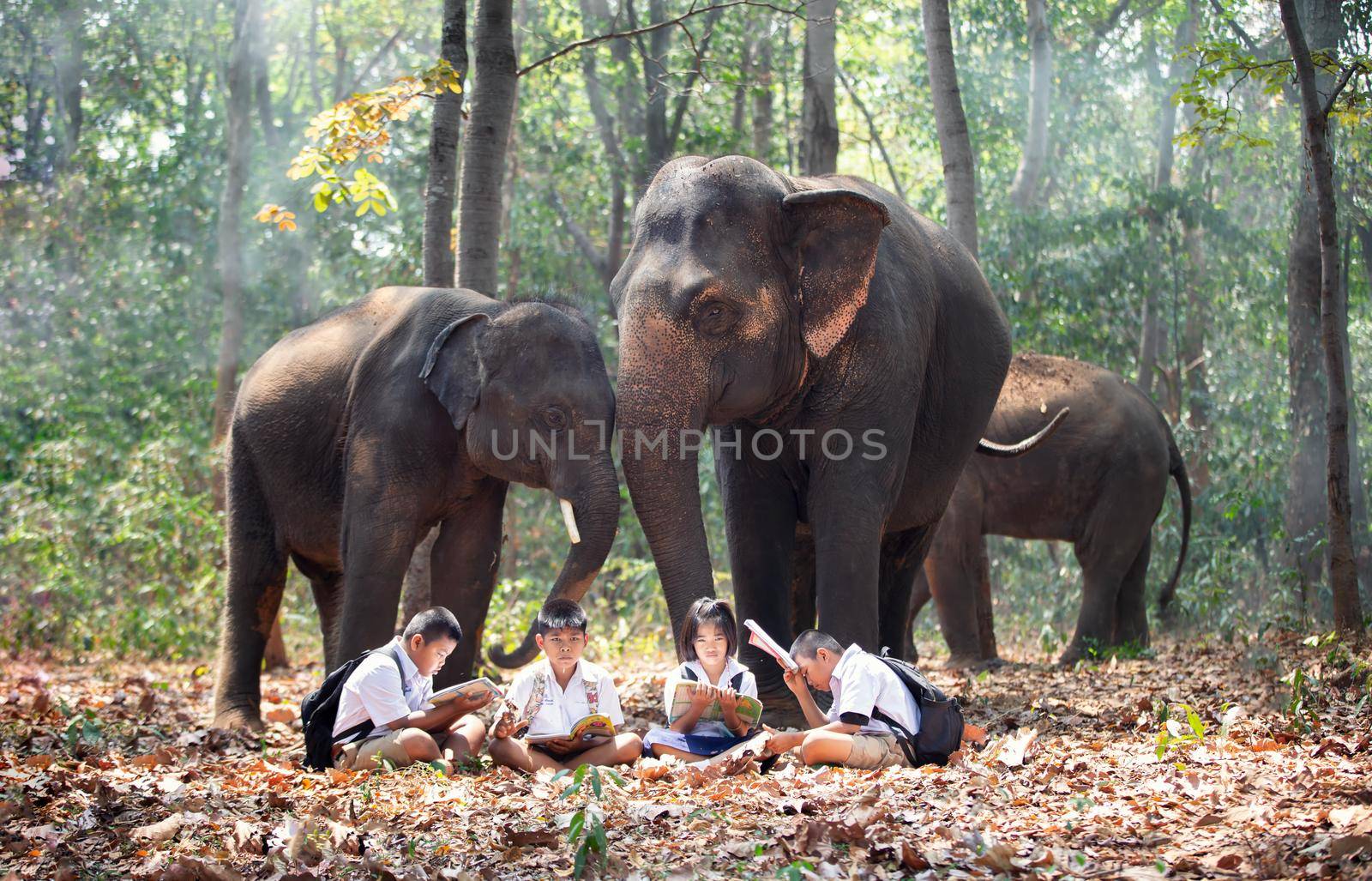 Students Walk To School Through Forest Alongside Elephants by chuanchai