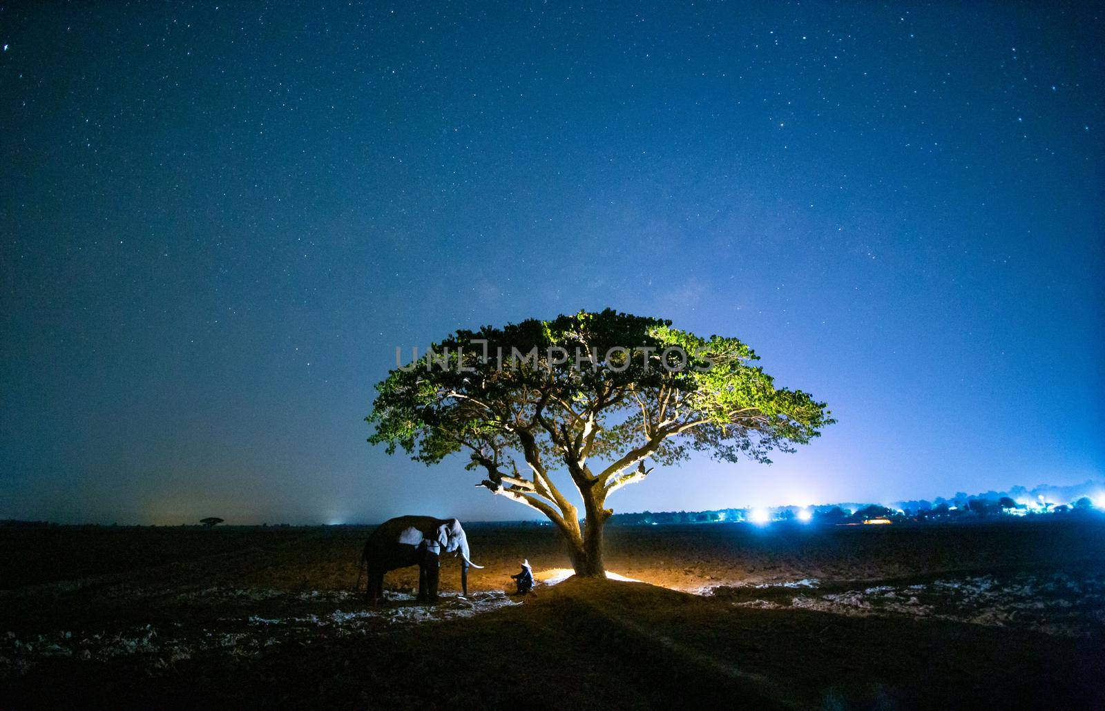 Spirit of Asia,Thailand Countryside; Farmer and elephant on the background of sunrise. Asian culture by chuanchai