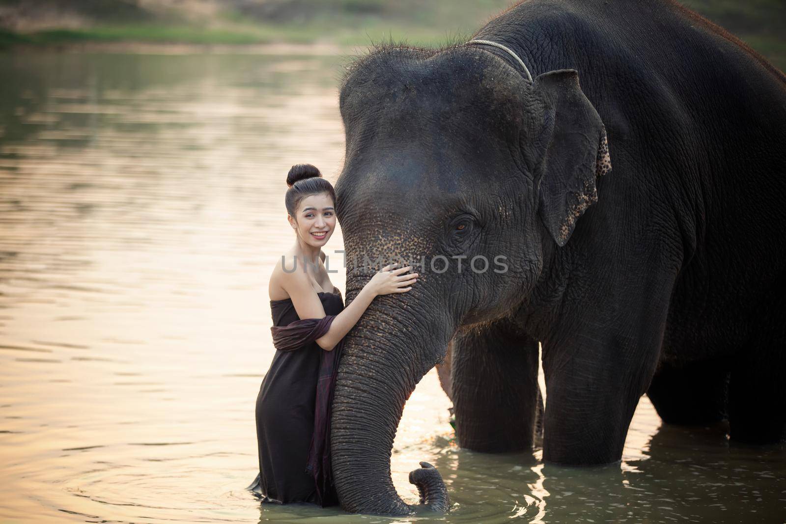 Portrait Of Young Woman Standing By Elephant In Forest