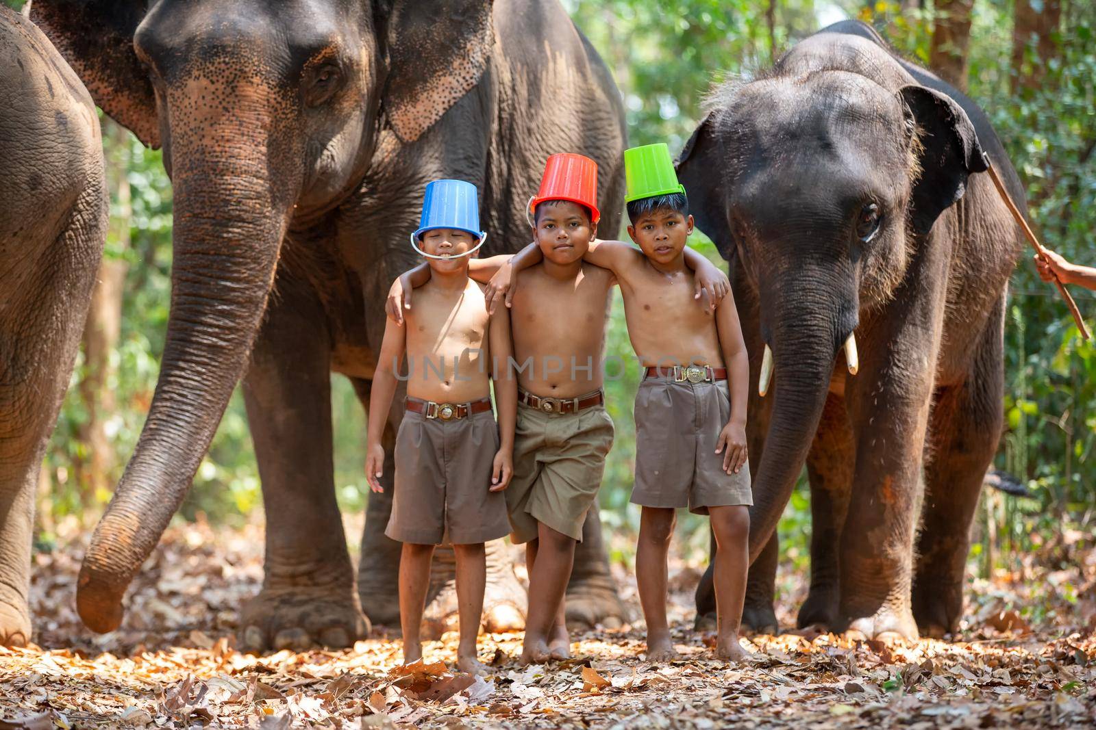 Children play watering in forest against elephants.
