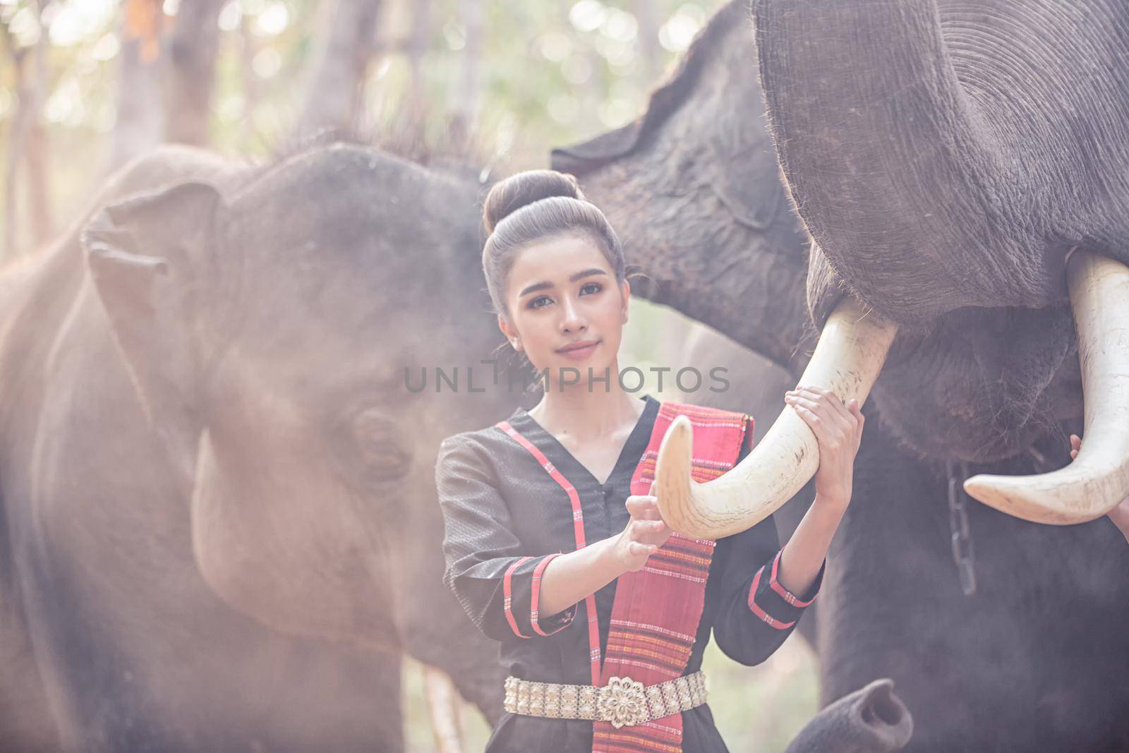 Spirit of Asia,Thailand Countryside; Farmer and elephant on the background of sunrise. Asian culture by chuanchai