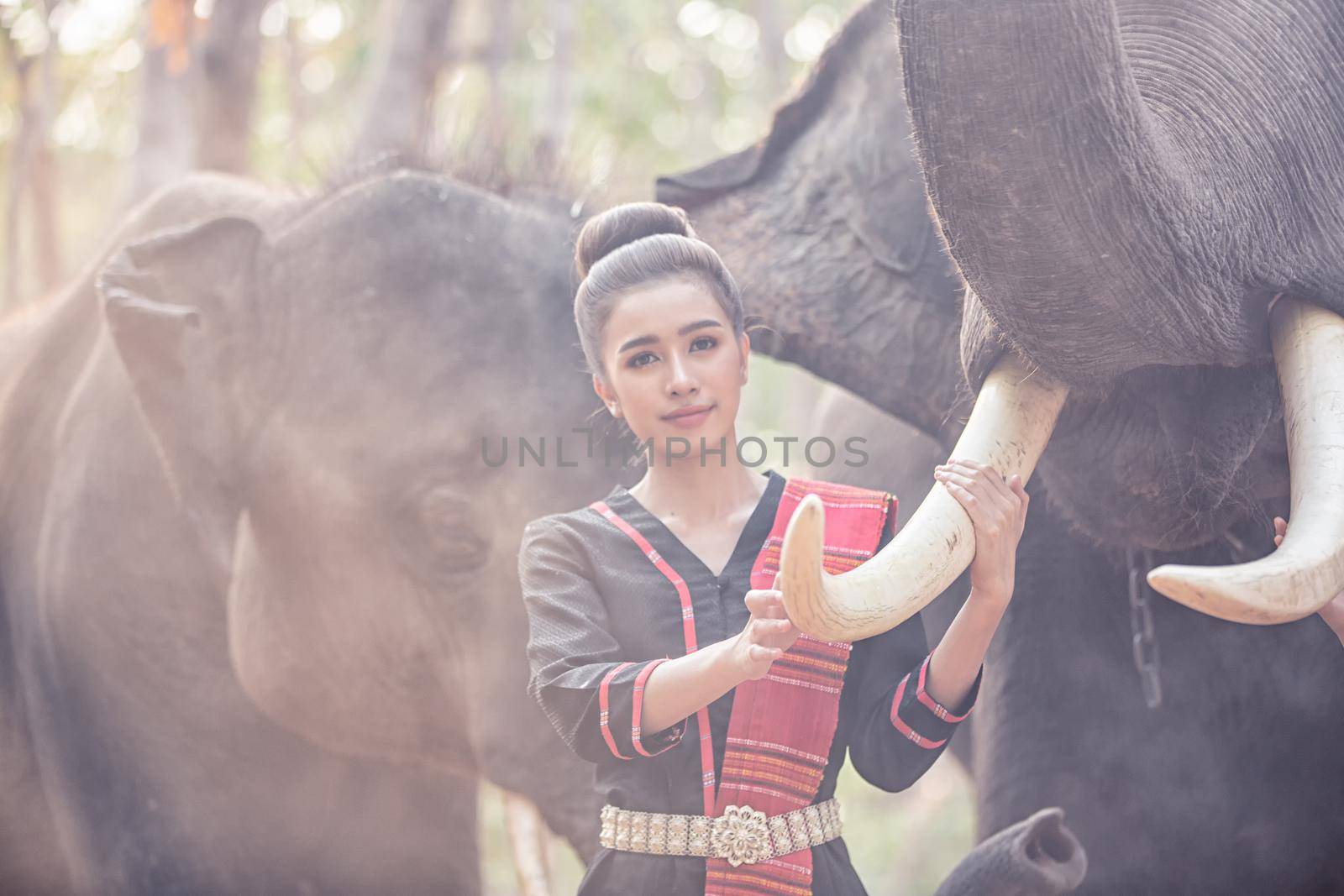 Portrait Of Young Woman Standing By Elephant In Forest