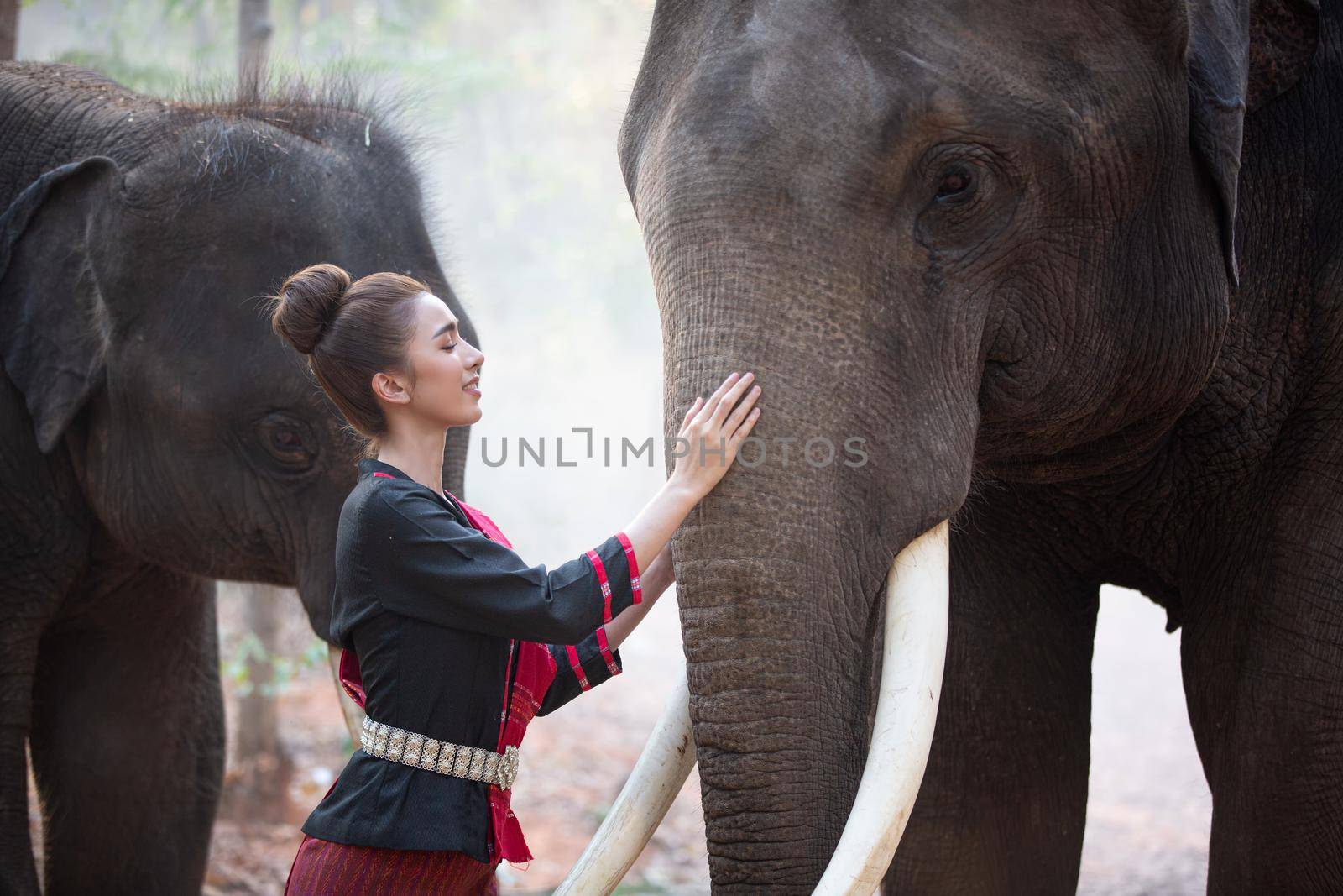 Portrait Of Young Woman Standing By Elephant In Forest