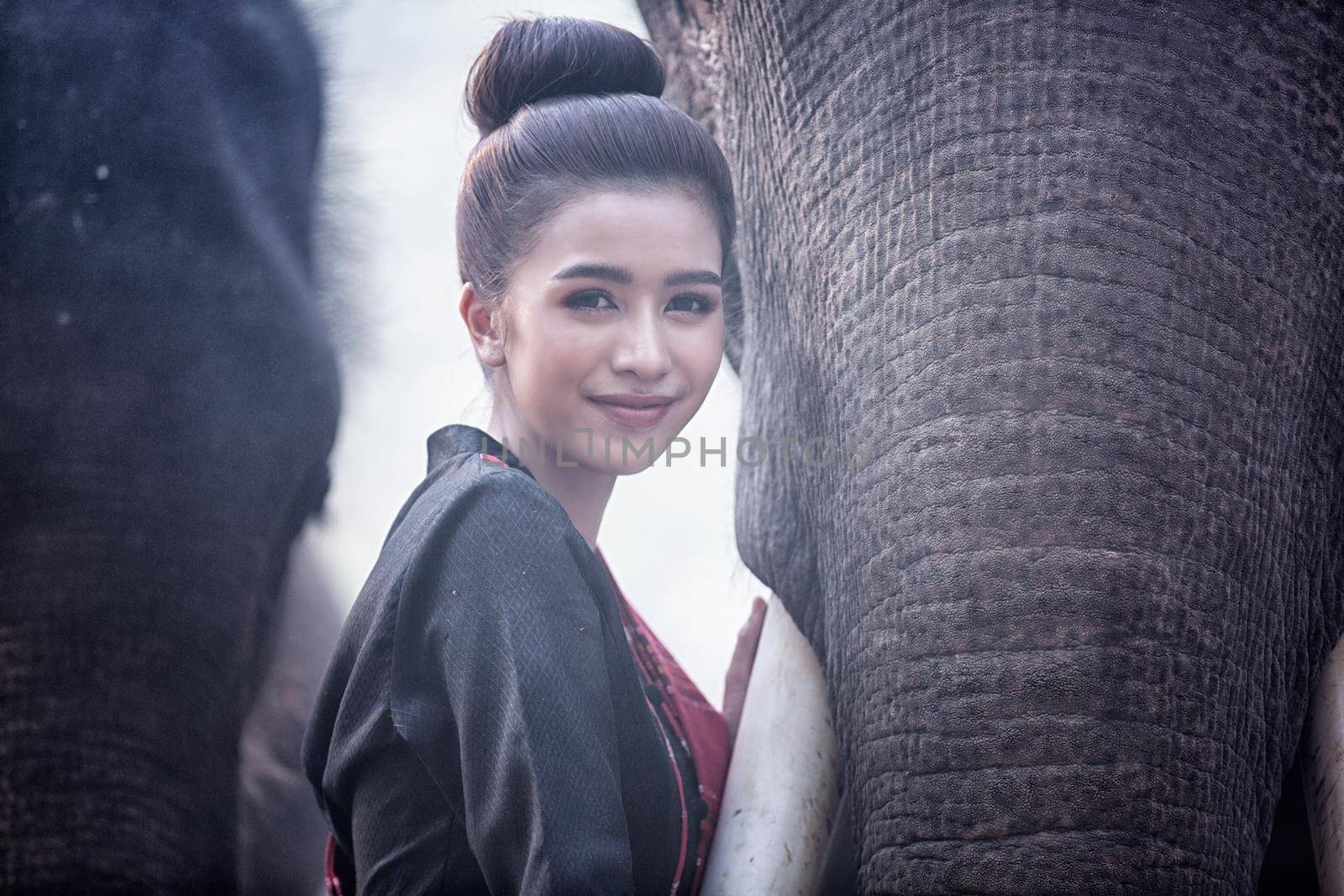 Portrait Of Young Woman Standing By Elephant In Forest