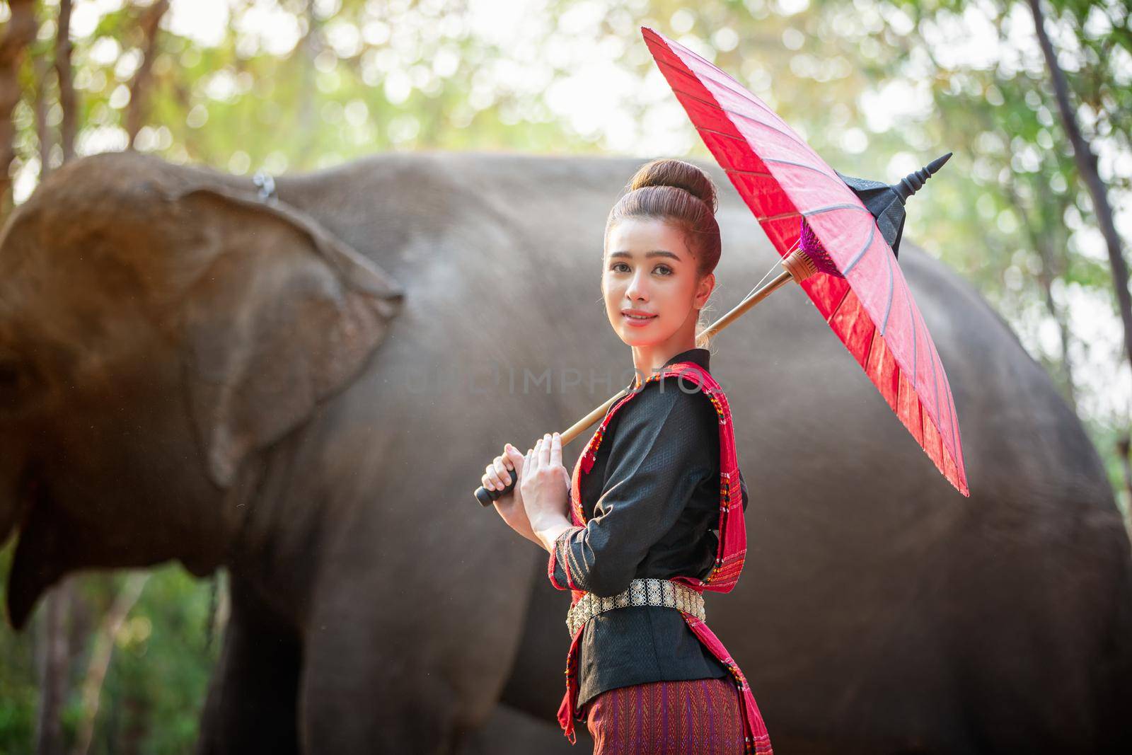 Portrait Of Young Woman Standing By Elephant In Forest