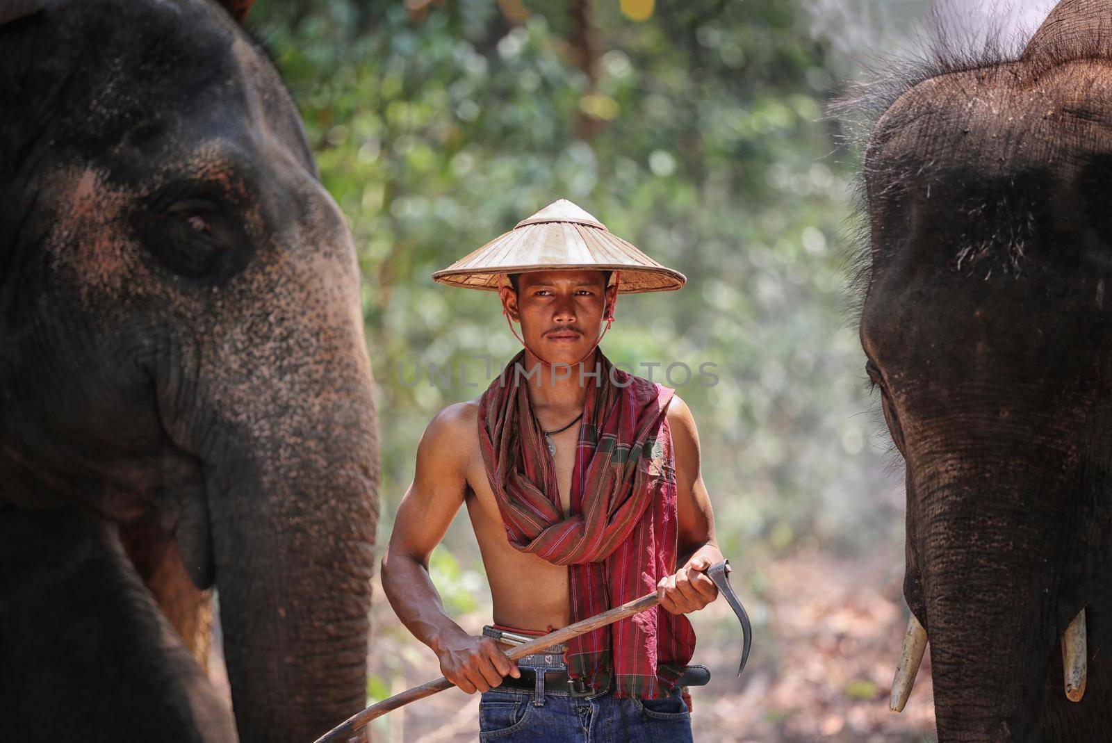 Spirit of Asia,Thailand Countryside; Farmer and elephant on the background of sunrise. Asian culture by chuanchai