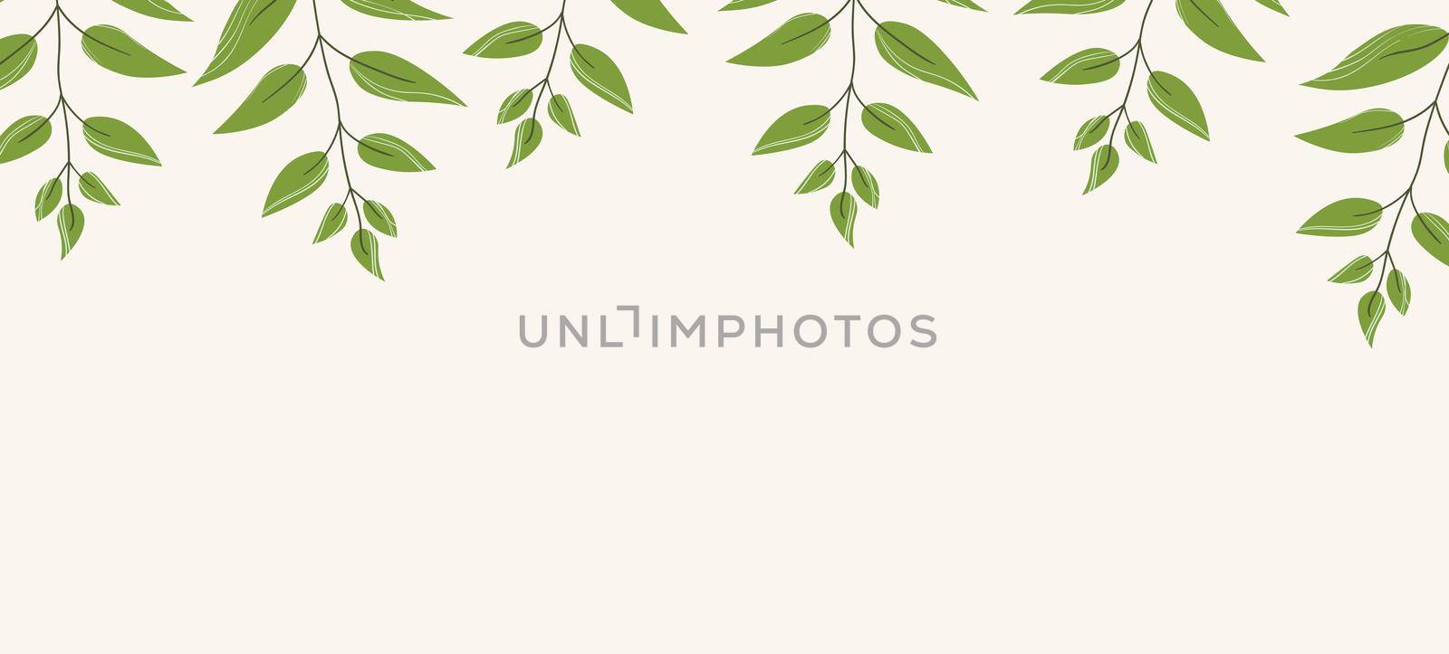 Floral web banner with drawn color exotic monstera leaves. Nature concept design. Modern floral compositions with summer branches. Vector illustration on the theme of ecology, natura, environment by allaku