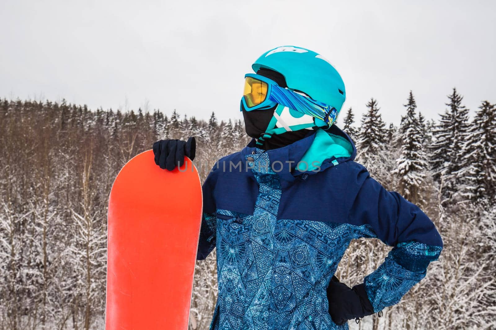 Female in a blue suit standing with a snowboard on a large snow slope. Snowboarder looks at a beautiful view of the snowy forest. Skiing holidays. Logoisk, Belarus