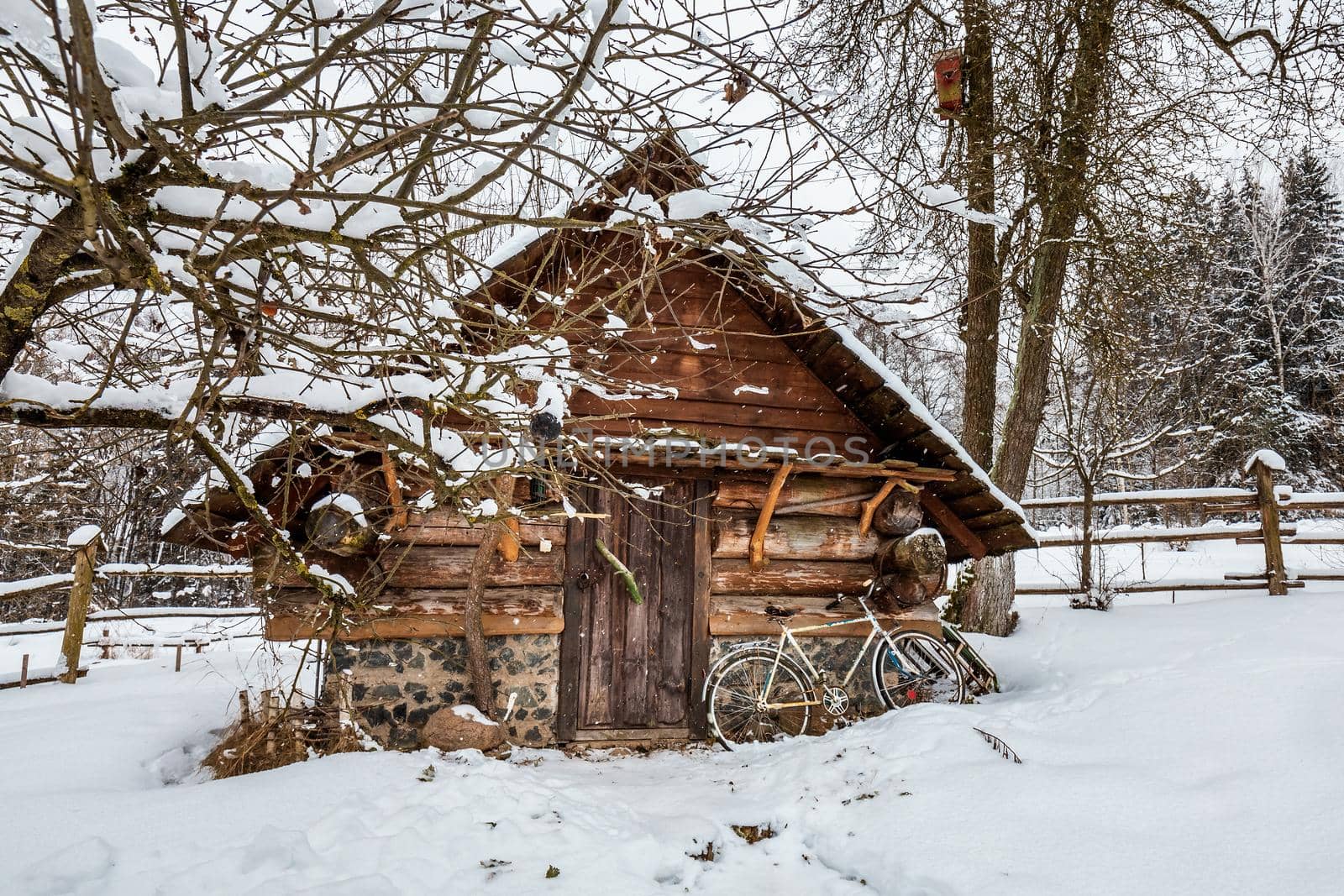 Decorated wooden house with textured wall and bycicle covered with a heavy snow in the village in Belarus.