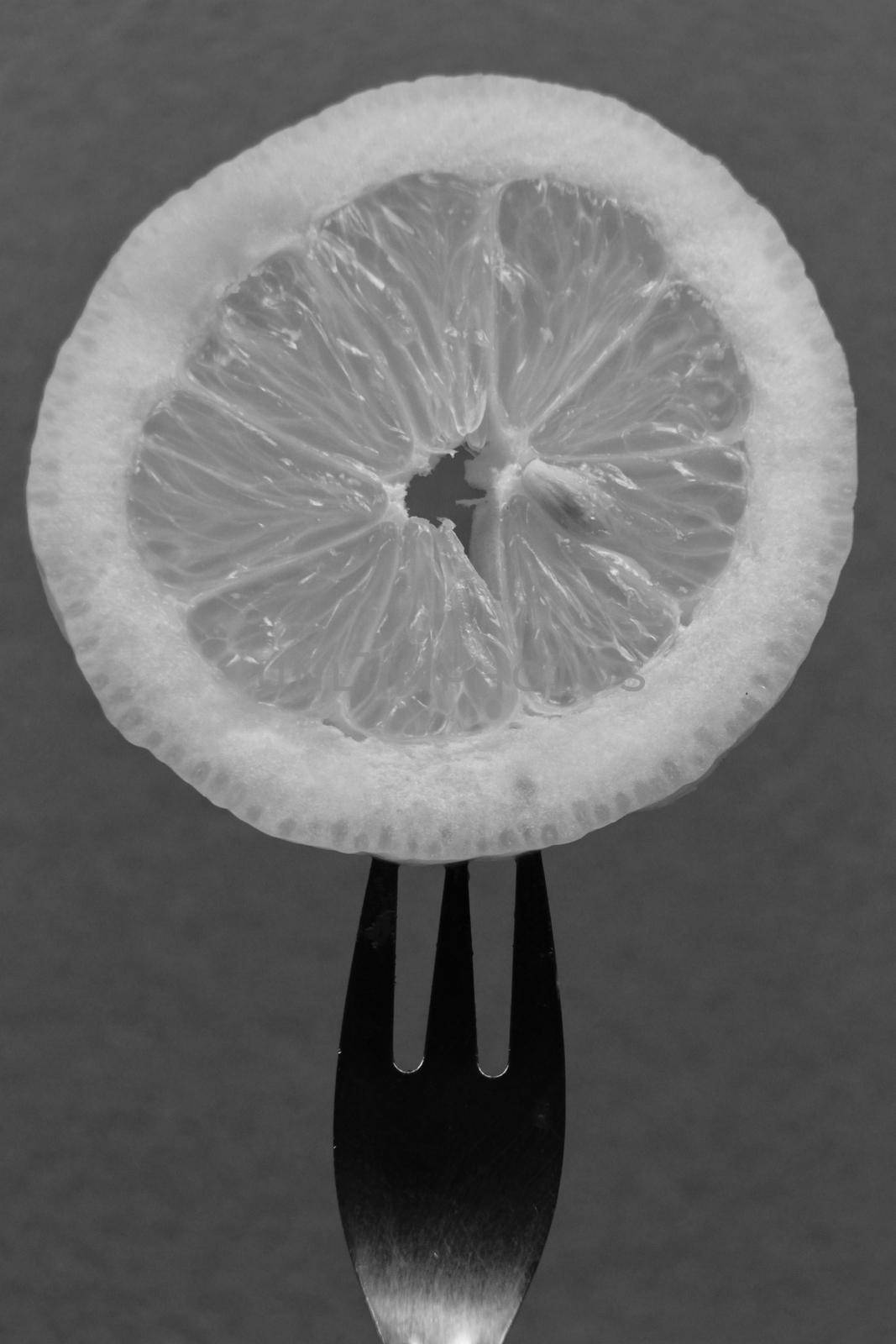 Slice of lemon pricked on fork by soniabonet