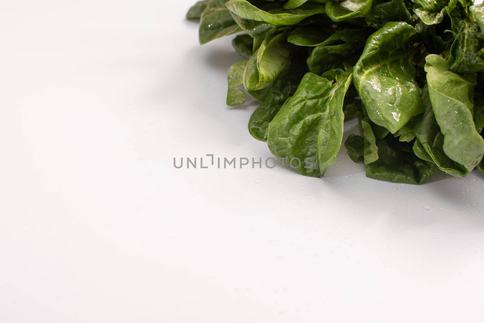 Spinach leaves with a place for writing on a white background. by ja-aljona