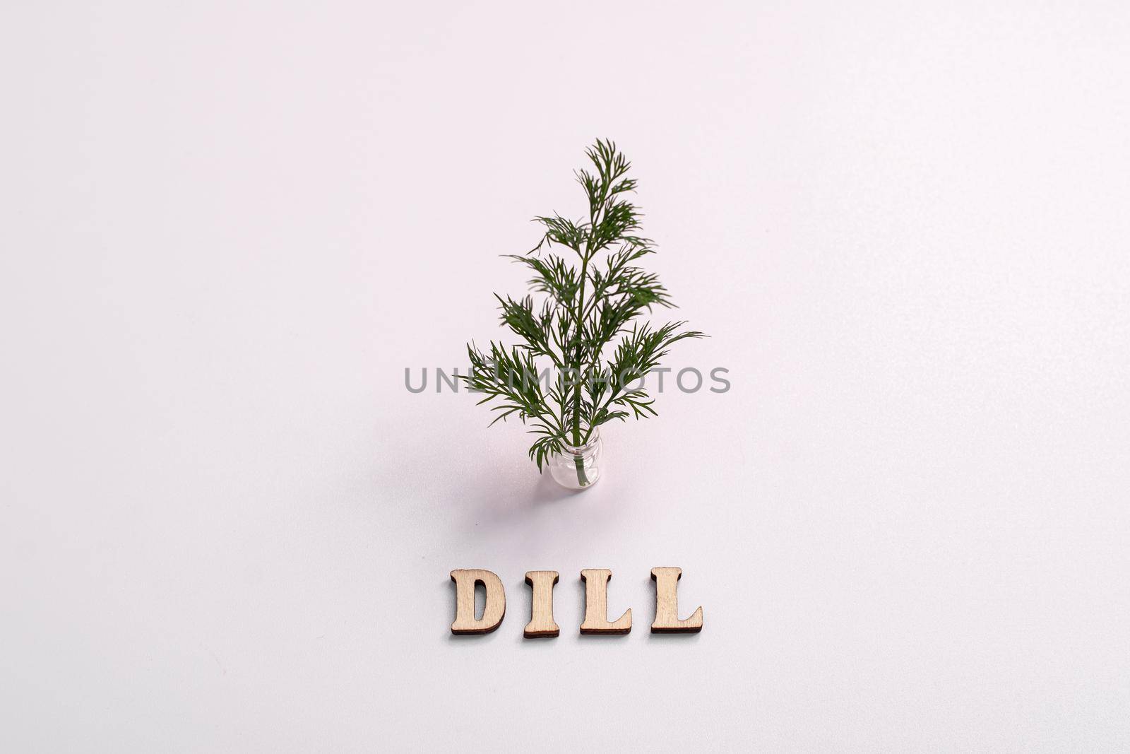 The inscription dill is written in wooden letters. A sprig of dill in a small glass jar.