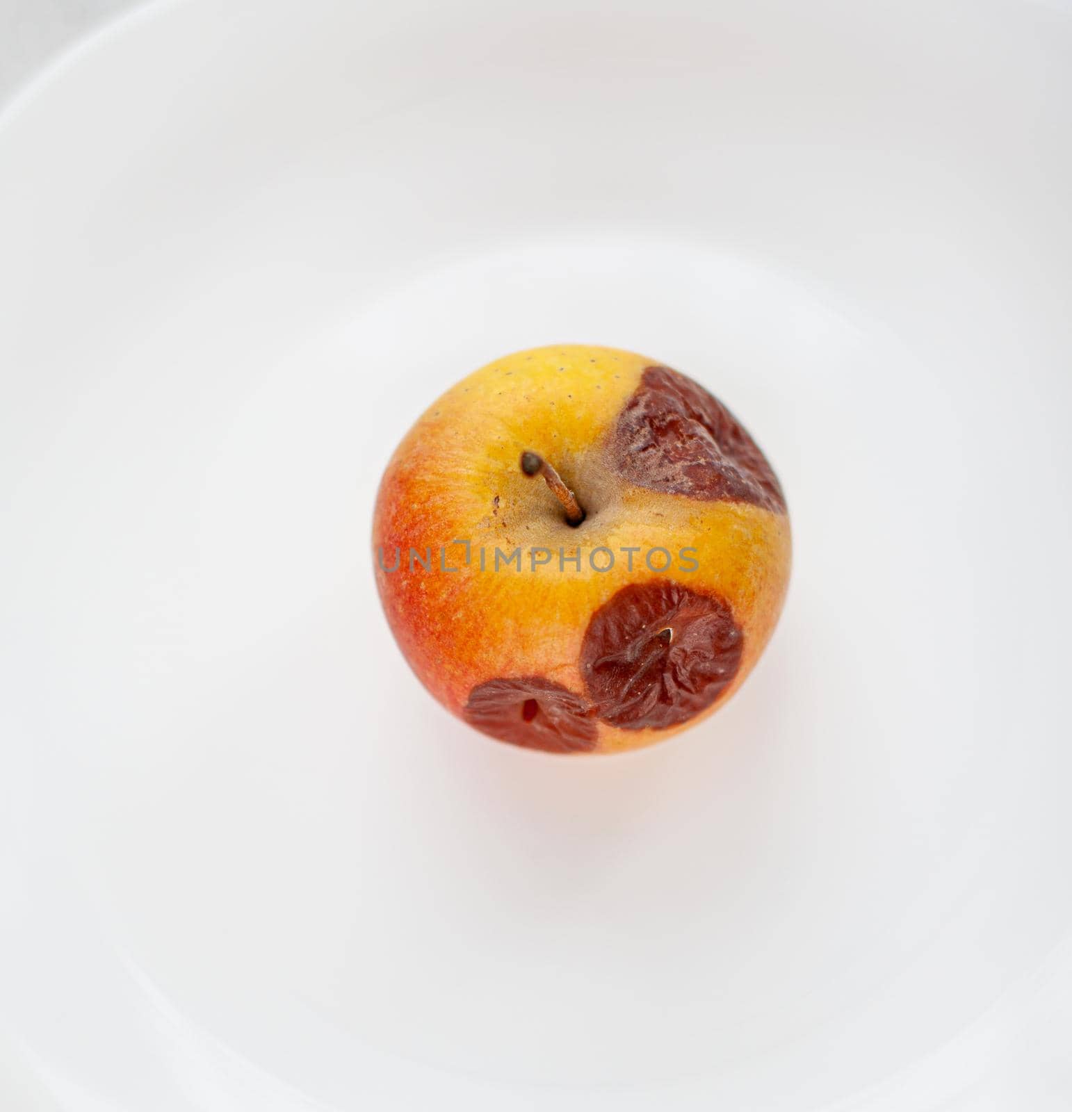 Close-up of a rotting apple isolated on a white background with a copy space. Biofruits tend to rot faster than bio-modified ones. The concept of healthy organic food.