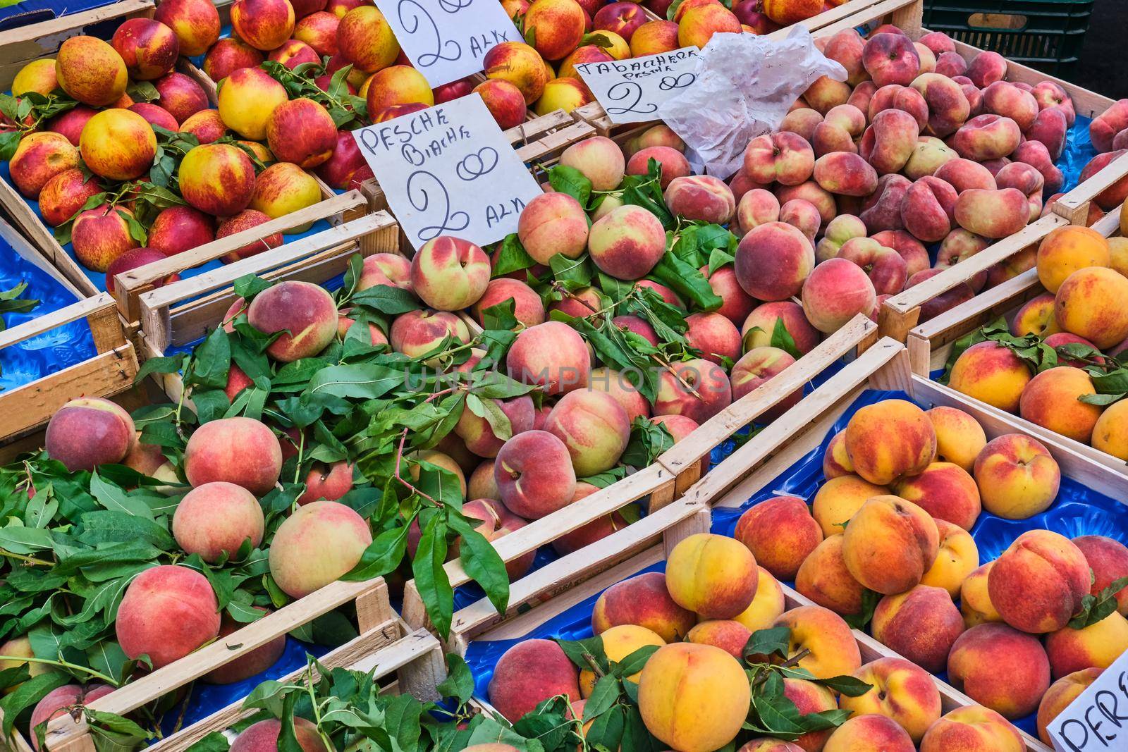 Differents kinds of peaches and nectarines for sale at a market