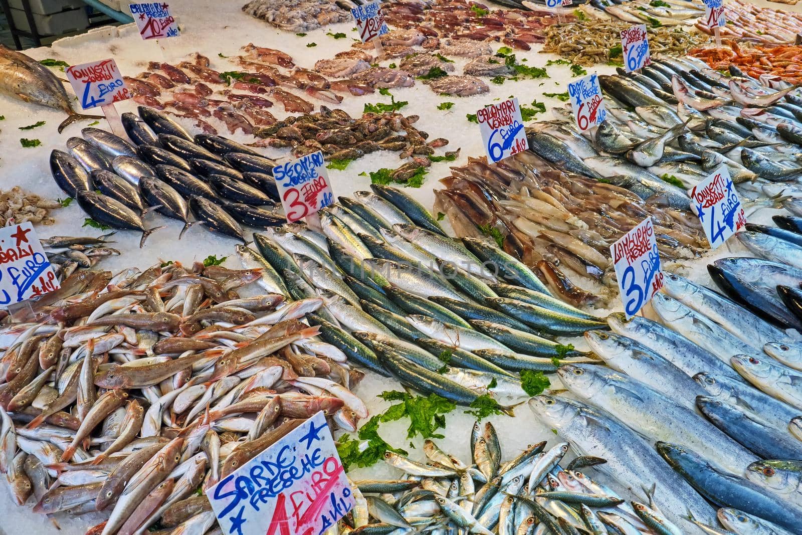 Great selection of fish and seafood for sale at a market