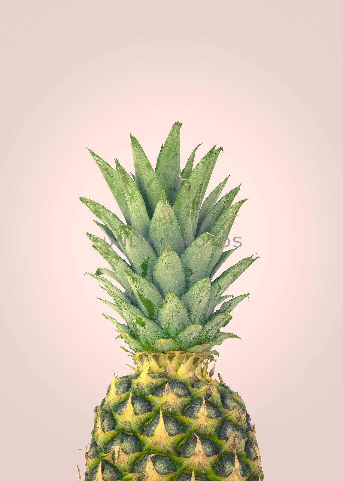 A Fresh Organic Pineapple On A Pastel Pink Background