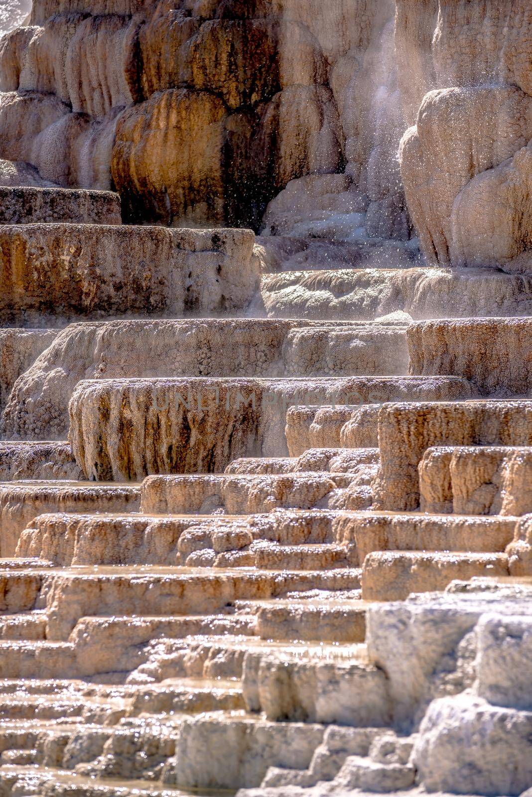 Travertine Terraces, Mammoth Hot Springs, Yellowstone by digidreamgrafix